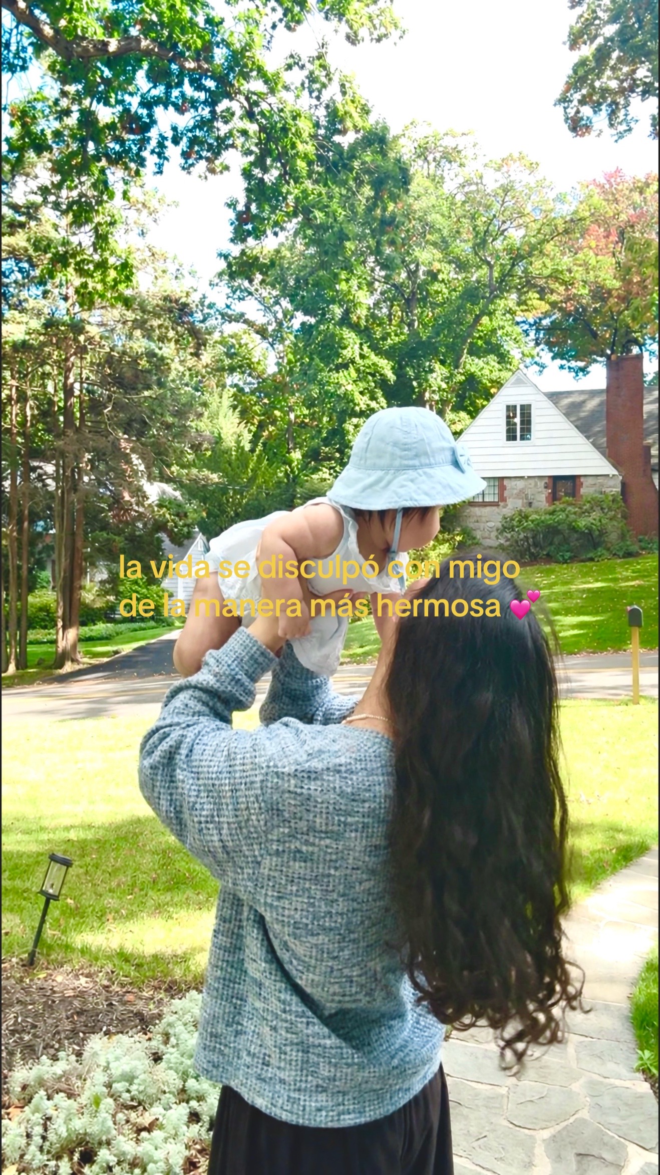 @alxvite