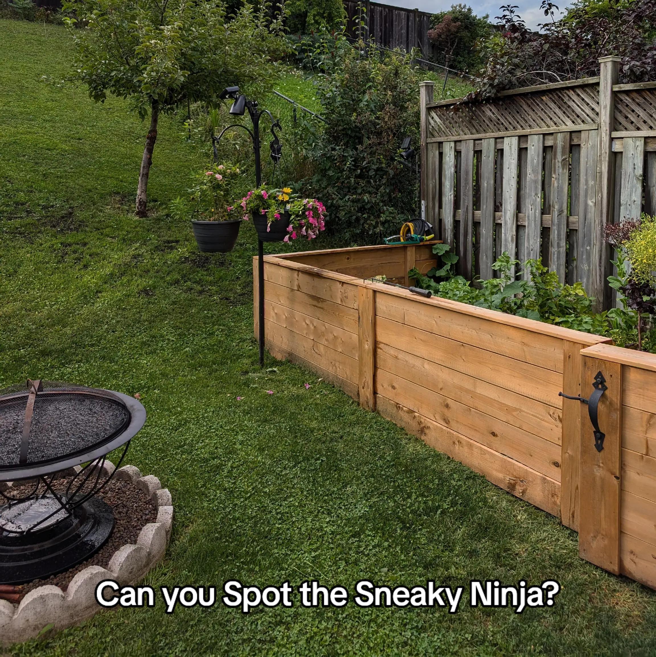 @SpotTheSneakyNinja