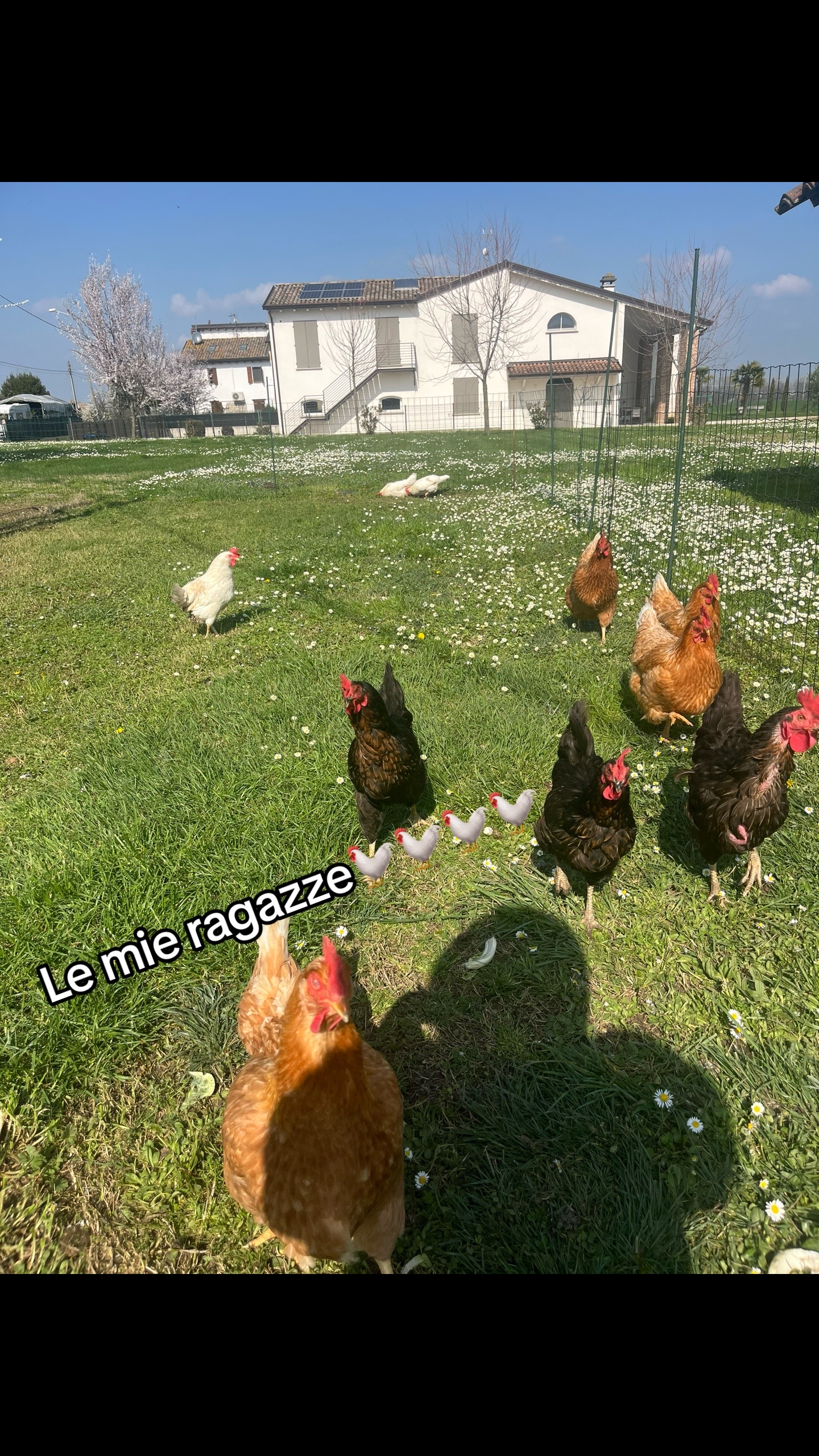 @Ramona Bosio