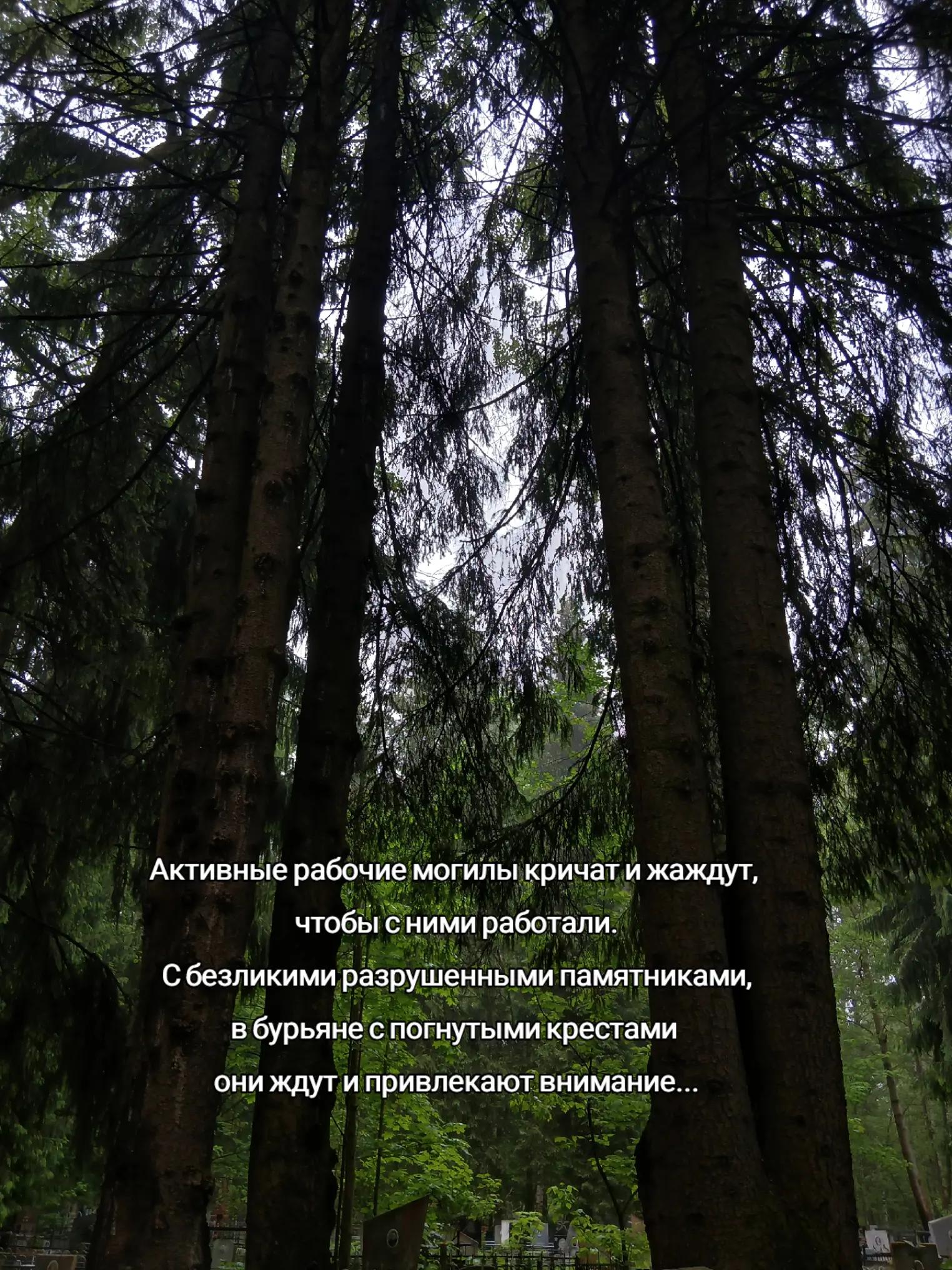 @Ржавый гроб ⚰️