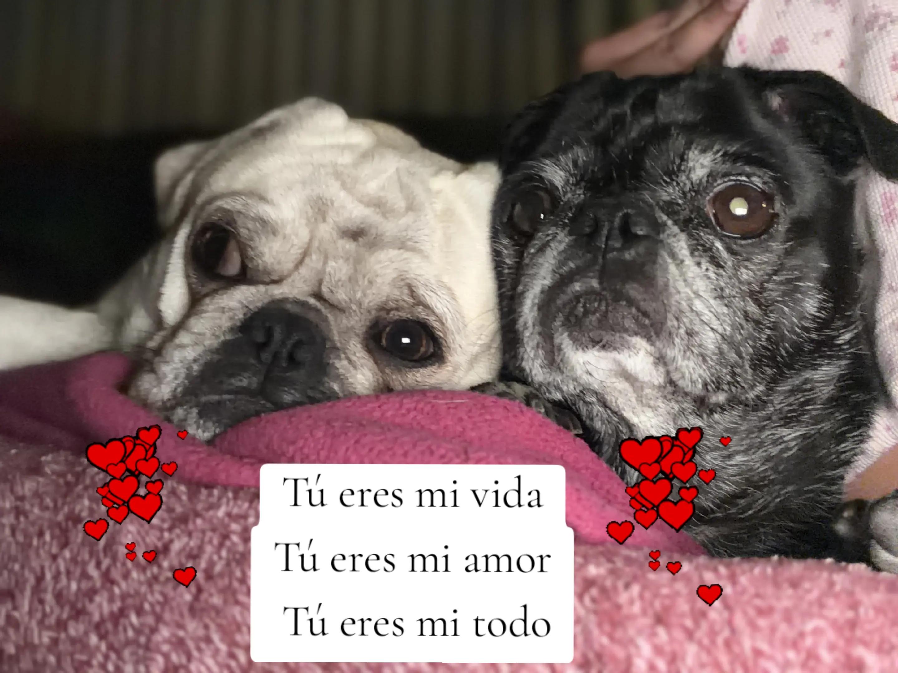 @Kerrio Kardenas