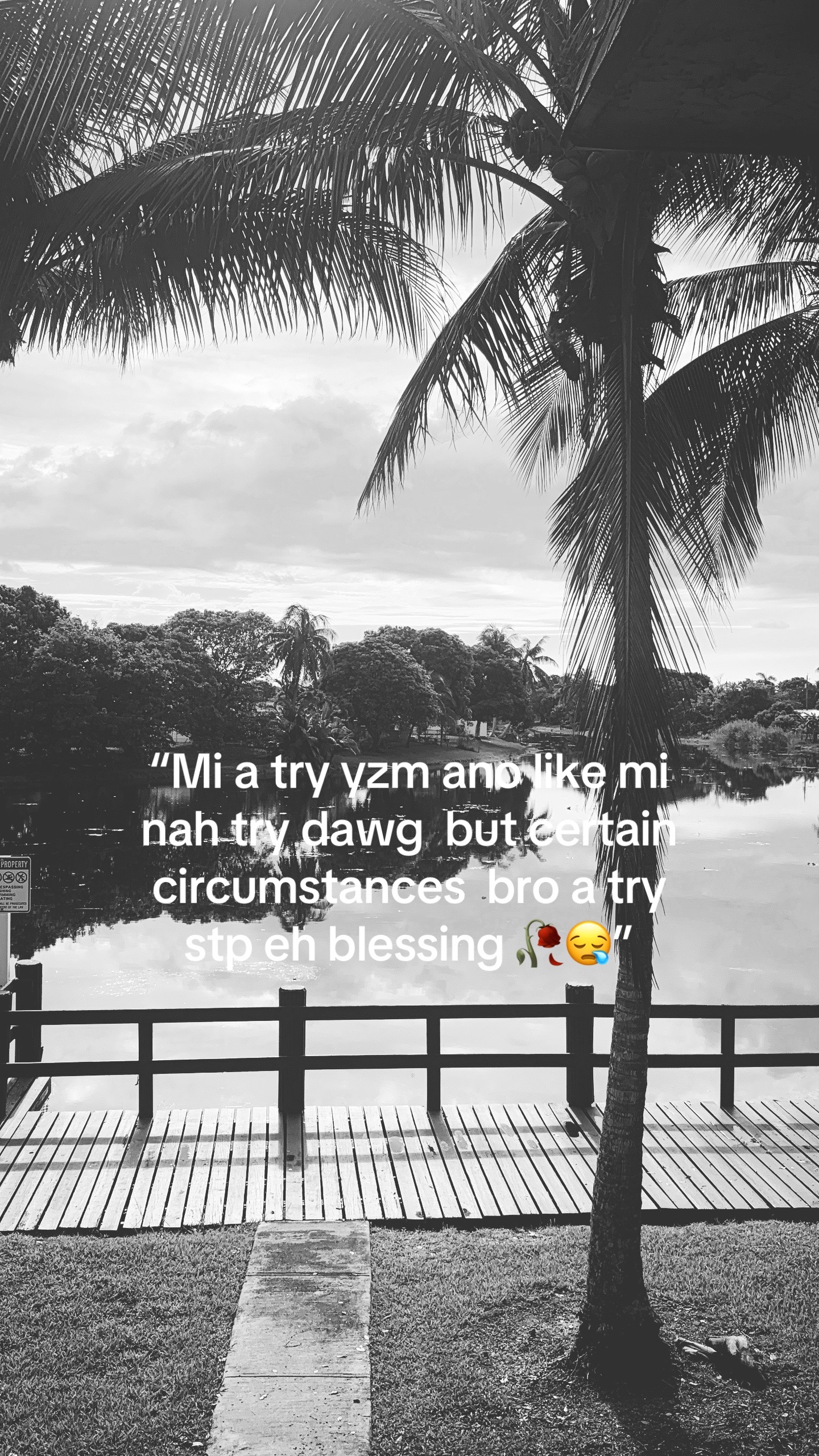 @Zapp_em⚡️🐇