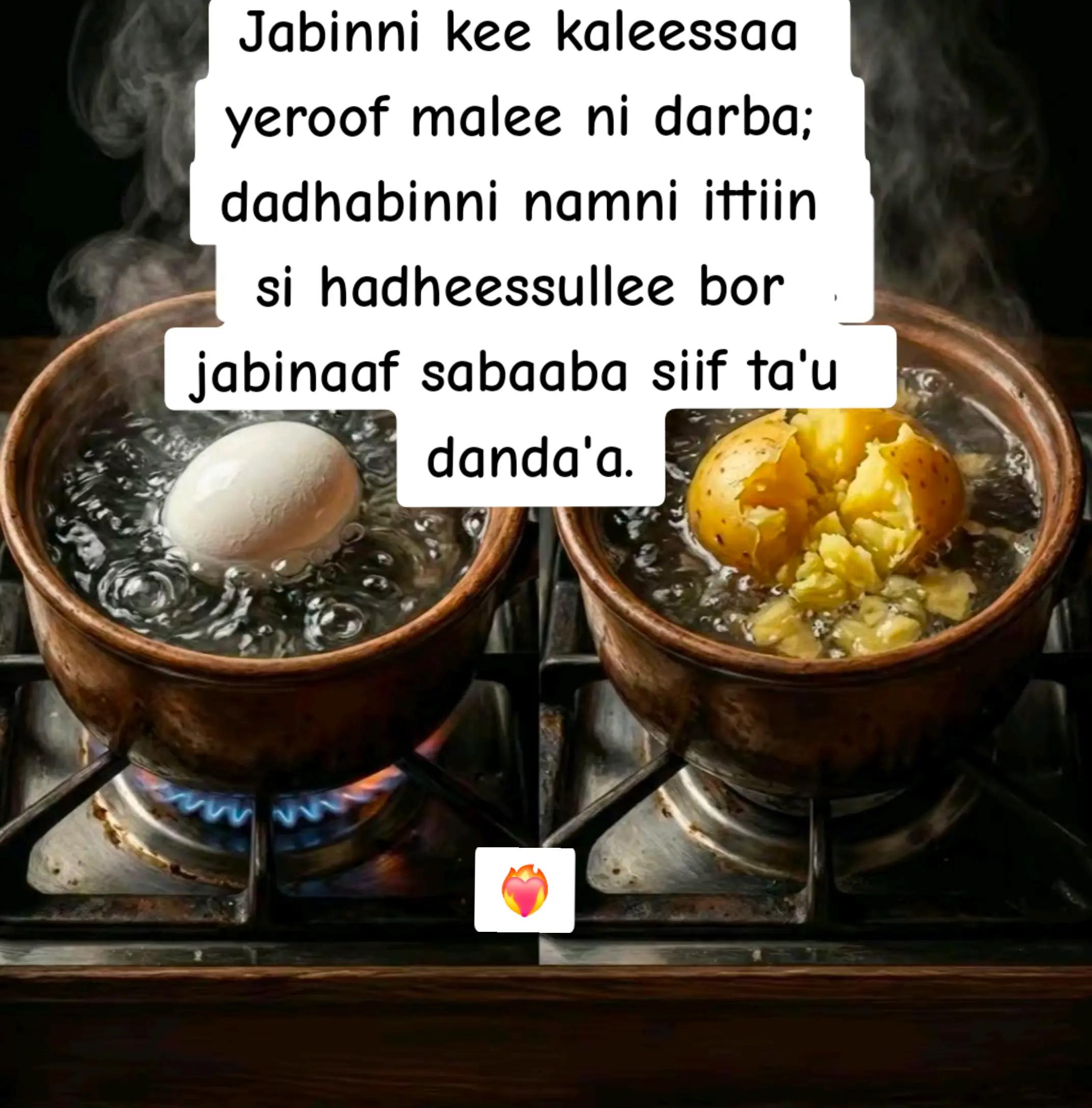 @Diriba T²
