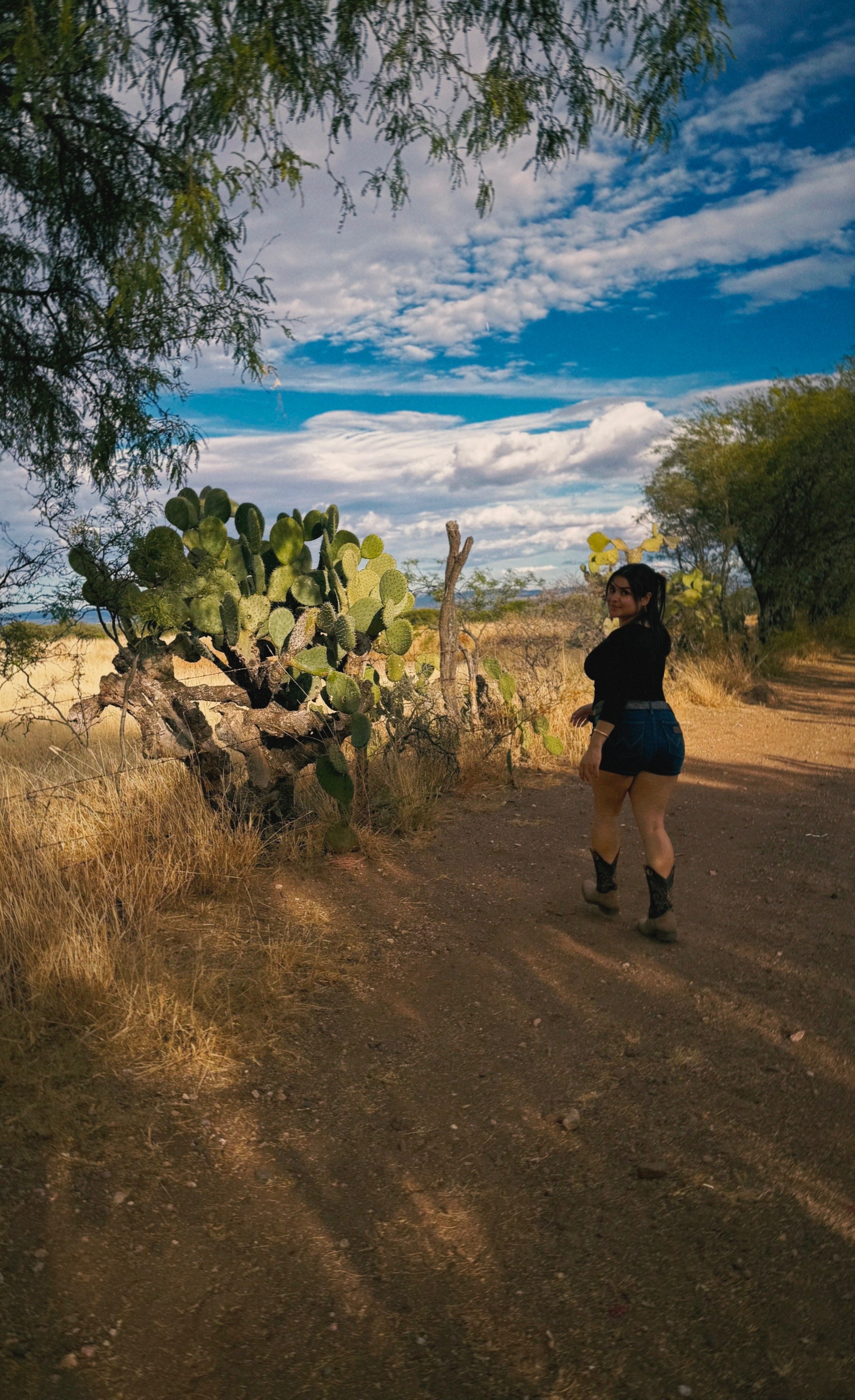 @veehsworld