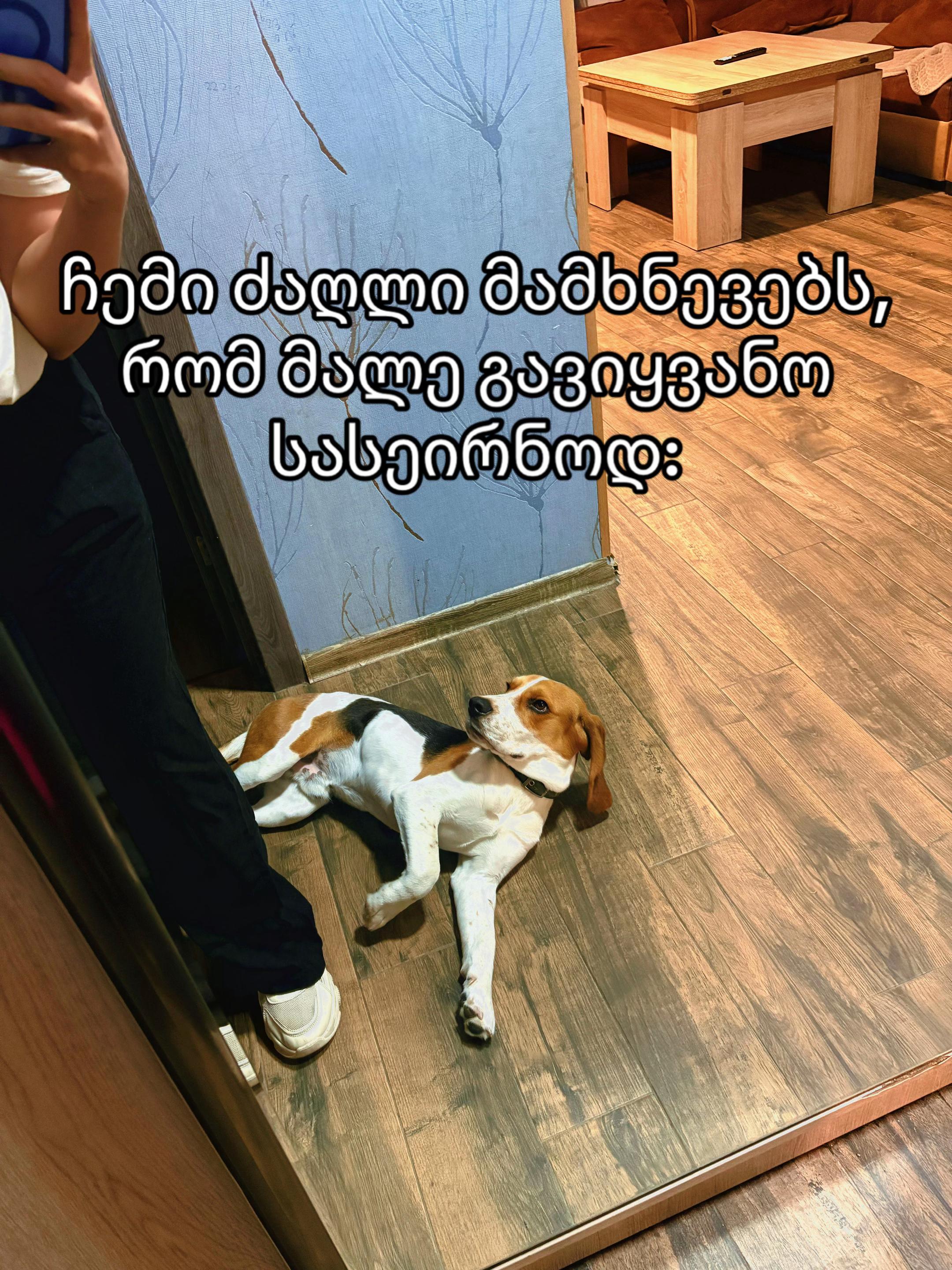 @Ma Ri