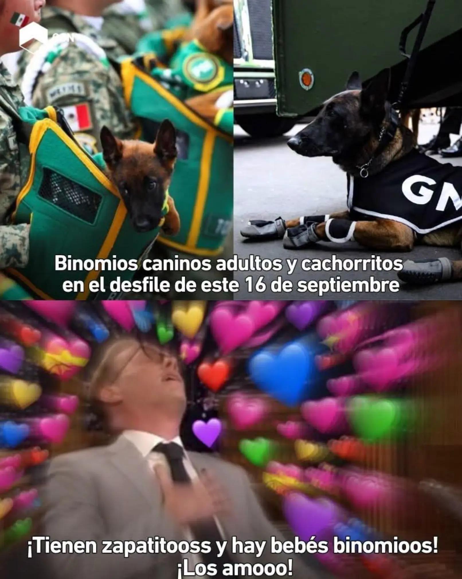 @varcan❤️