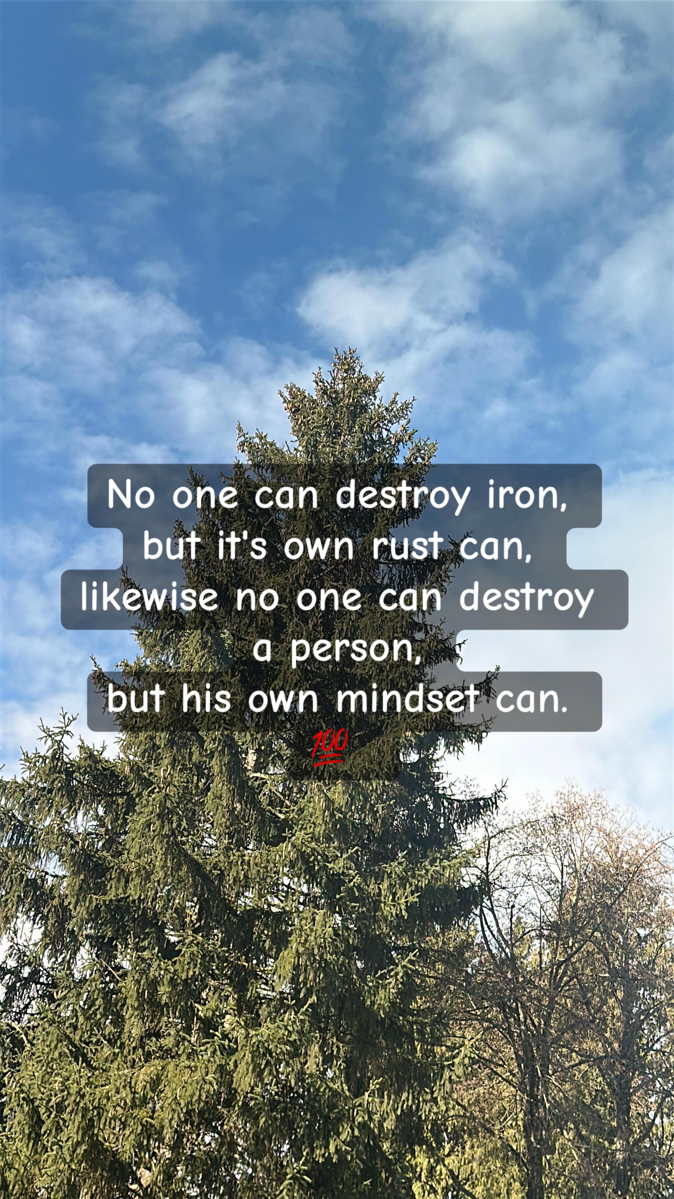 @⚔️D⚔️