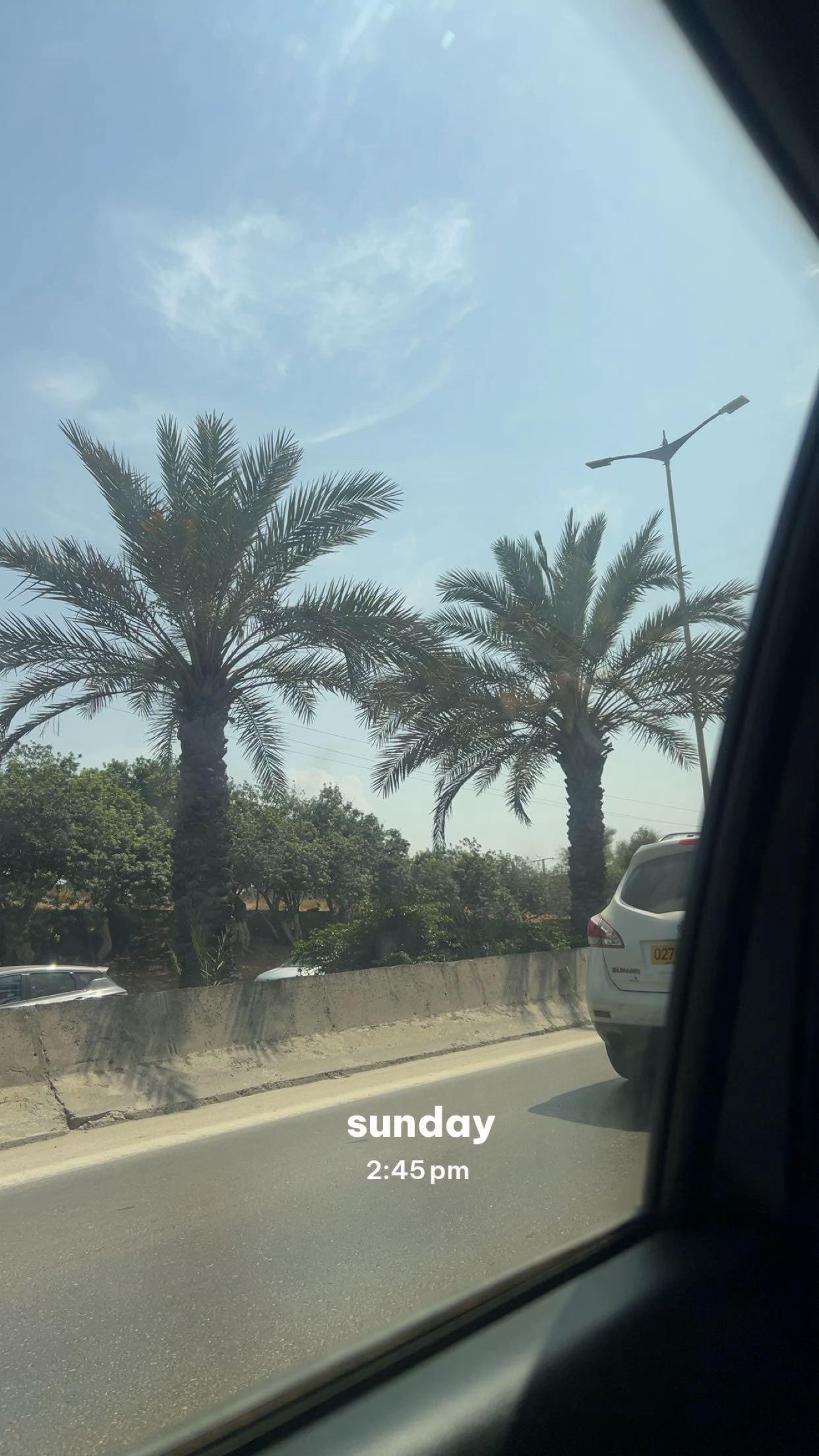 @Elino.dxbb ᥫ᭡