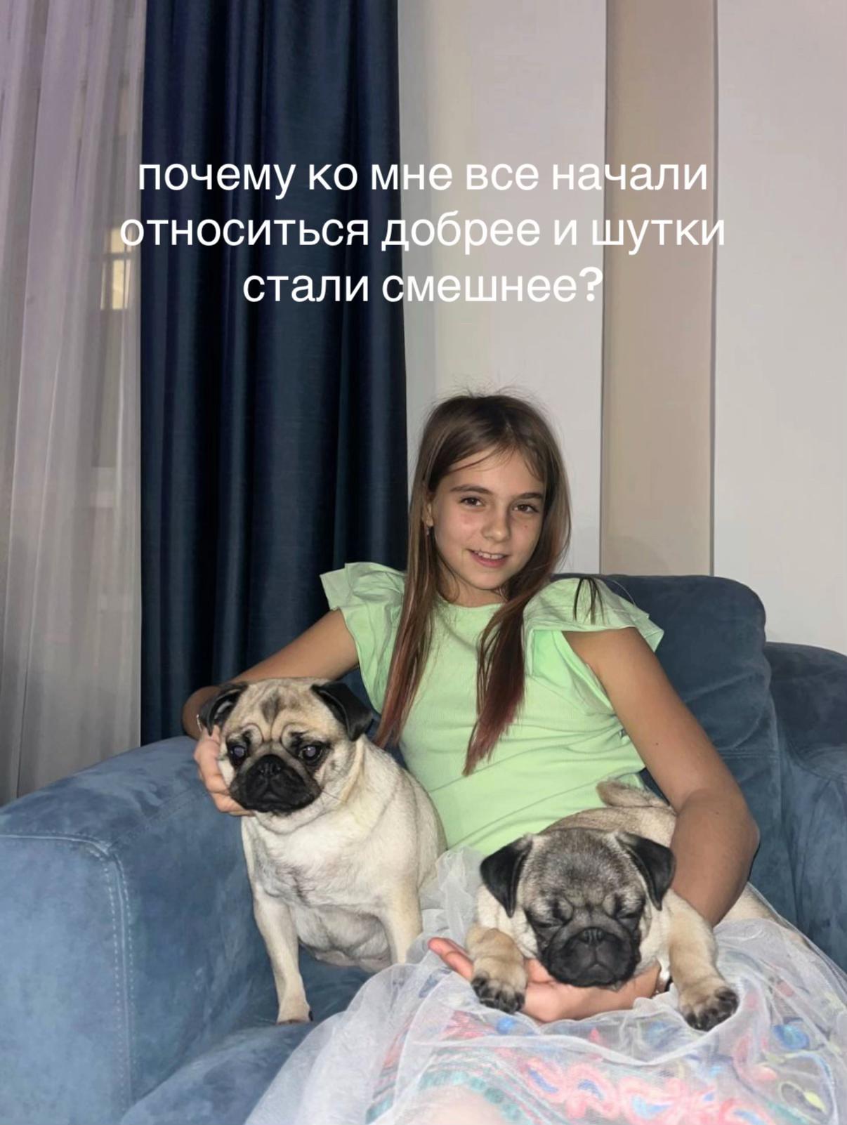 @dashullyaaaaaa