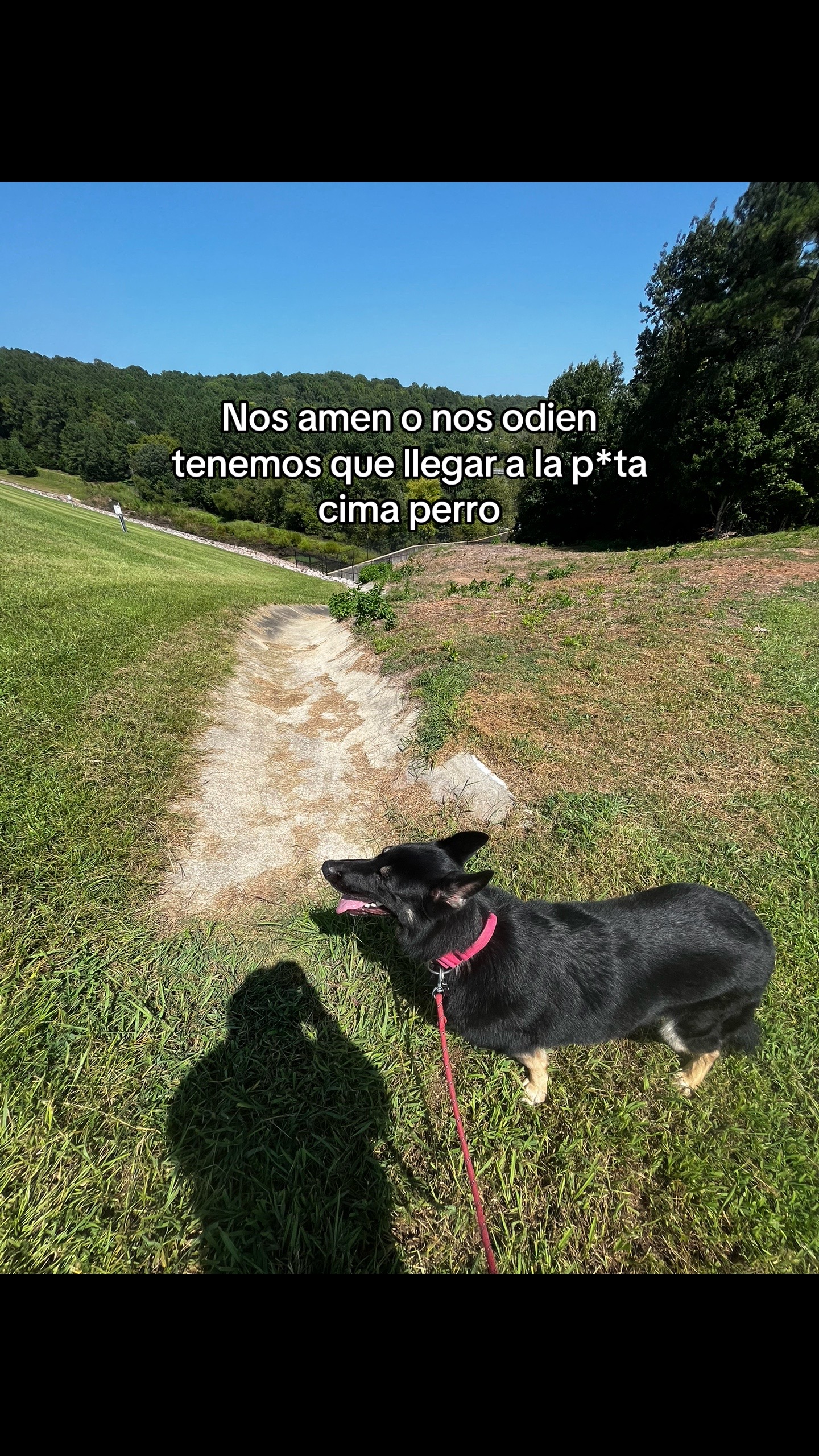 @Brayam