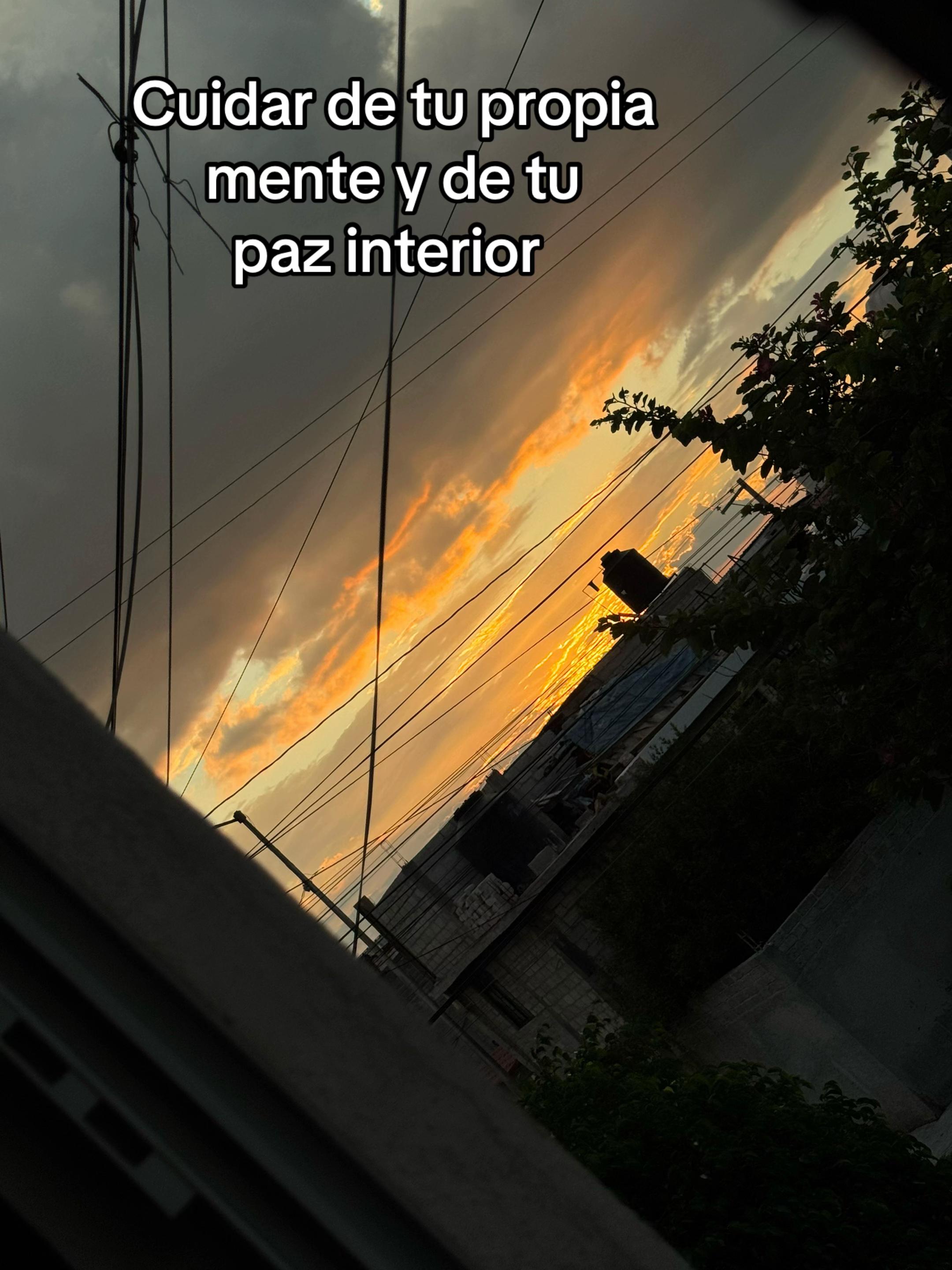 @ArturoBooe🦥☔️