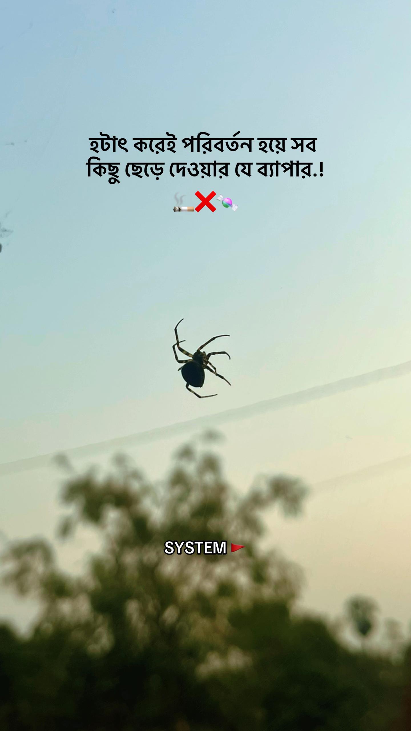 @SYSTEM 🚩