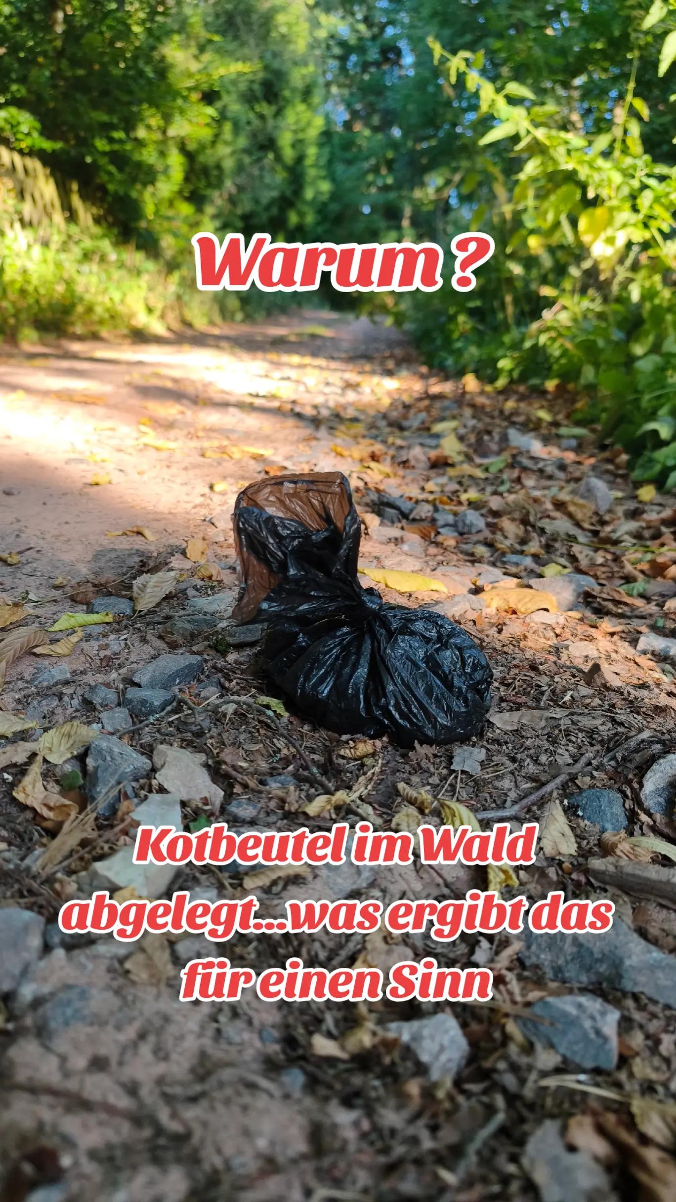 @ICH BIN'S