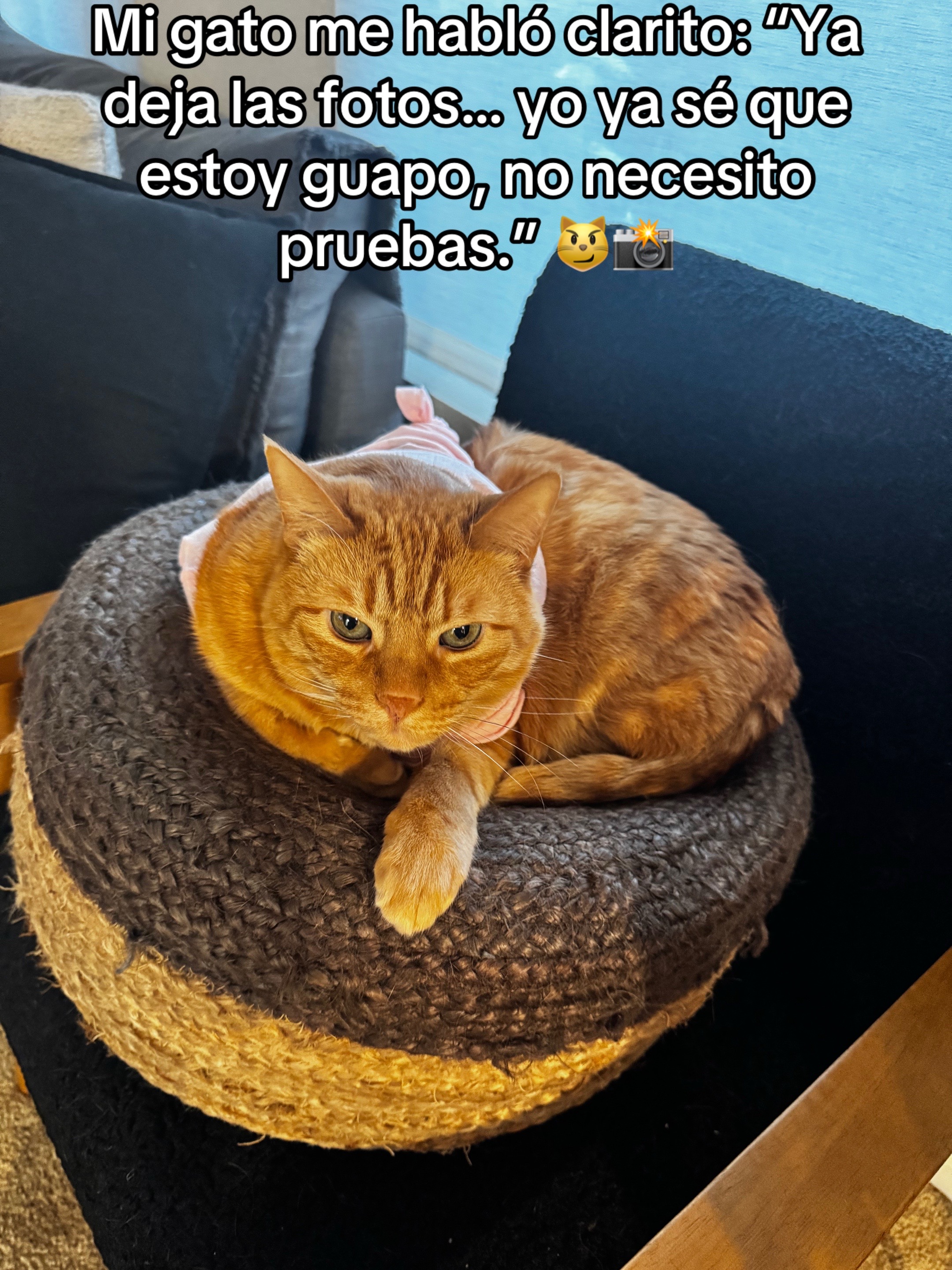 @Utop&iacute;as de una Stella