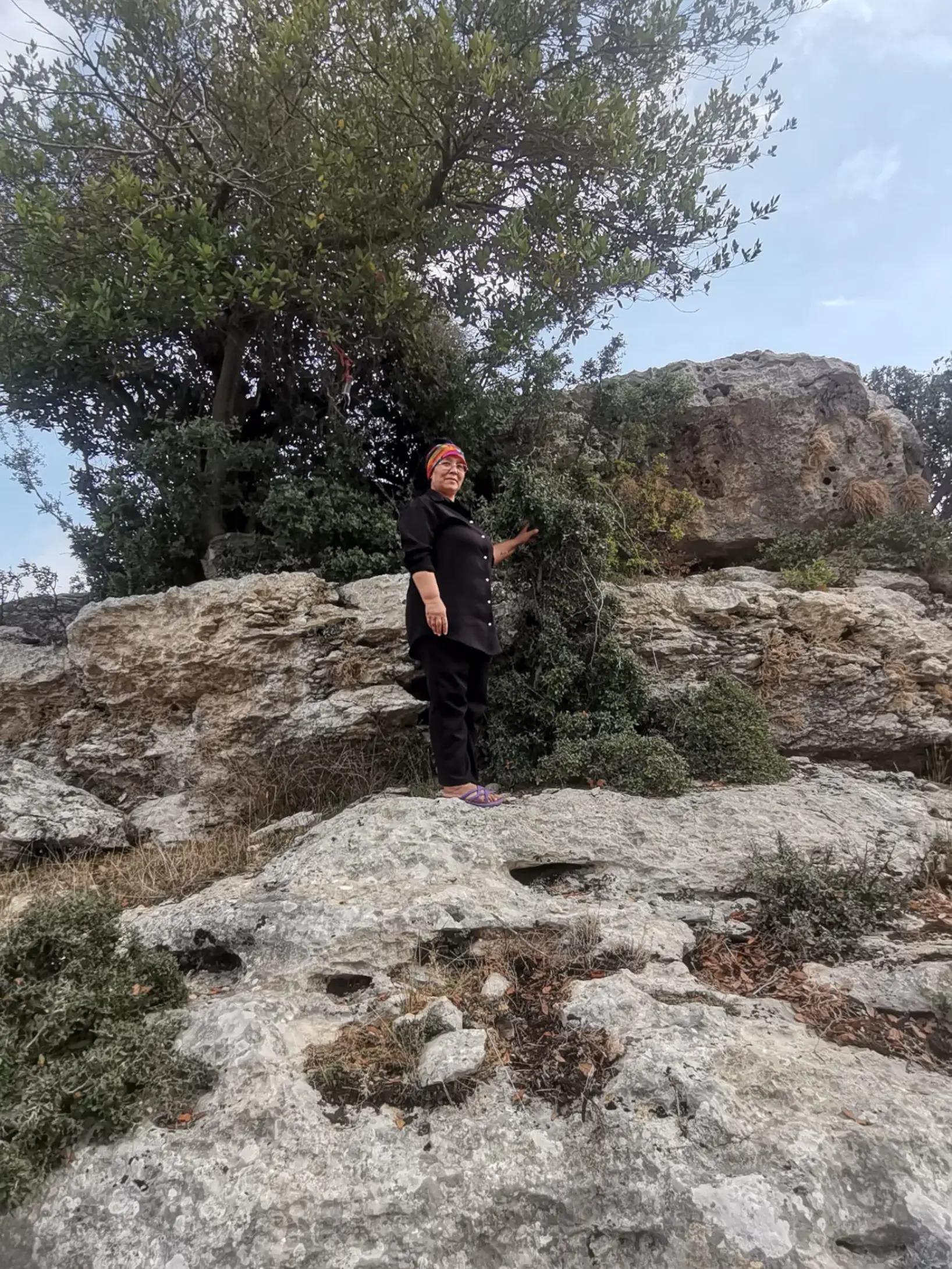 @yaprak dökümü