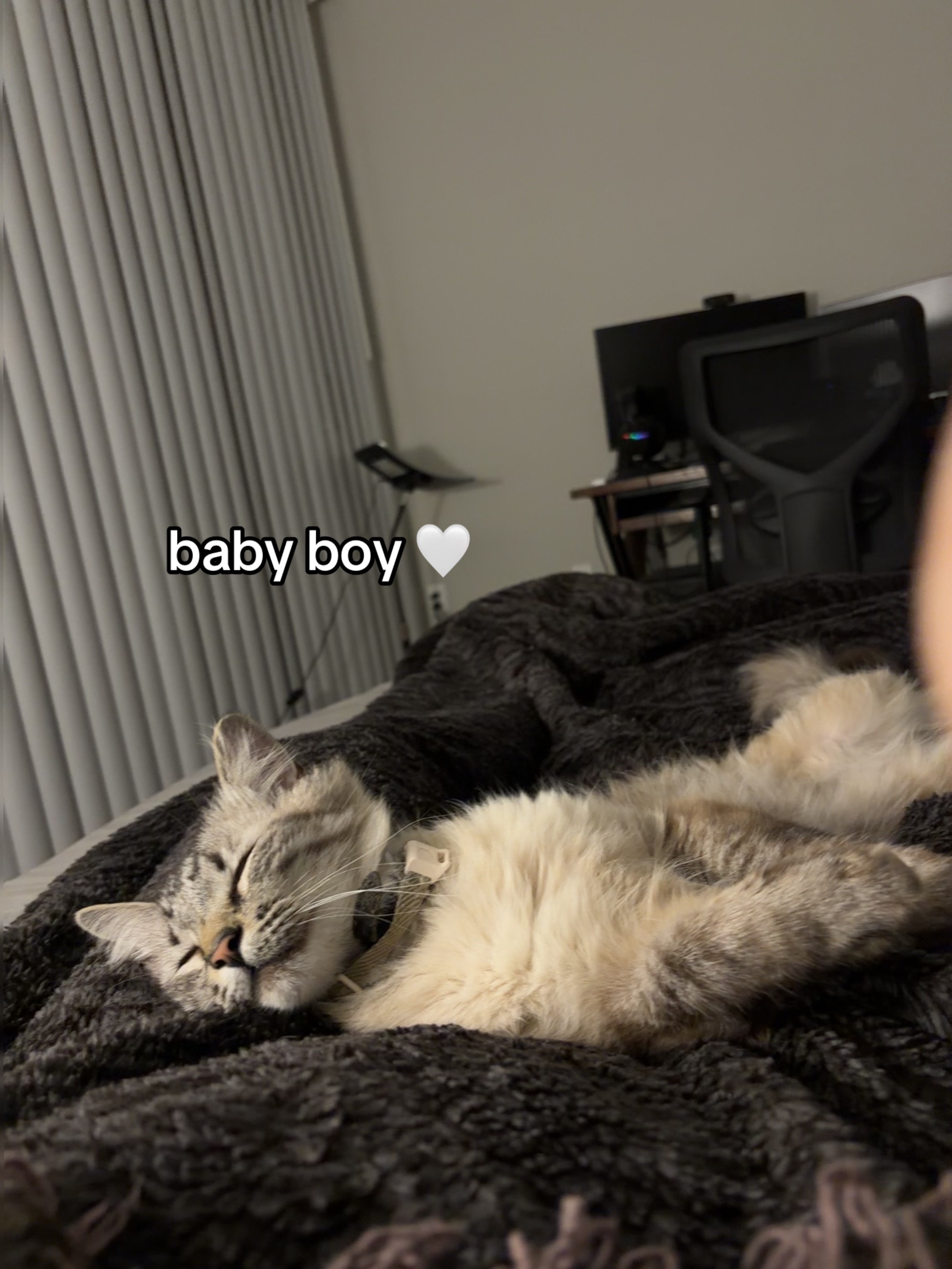 @Ricky and Lucy 🐈&zwj;⬛