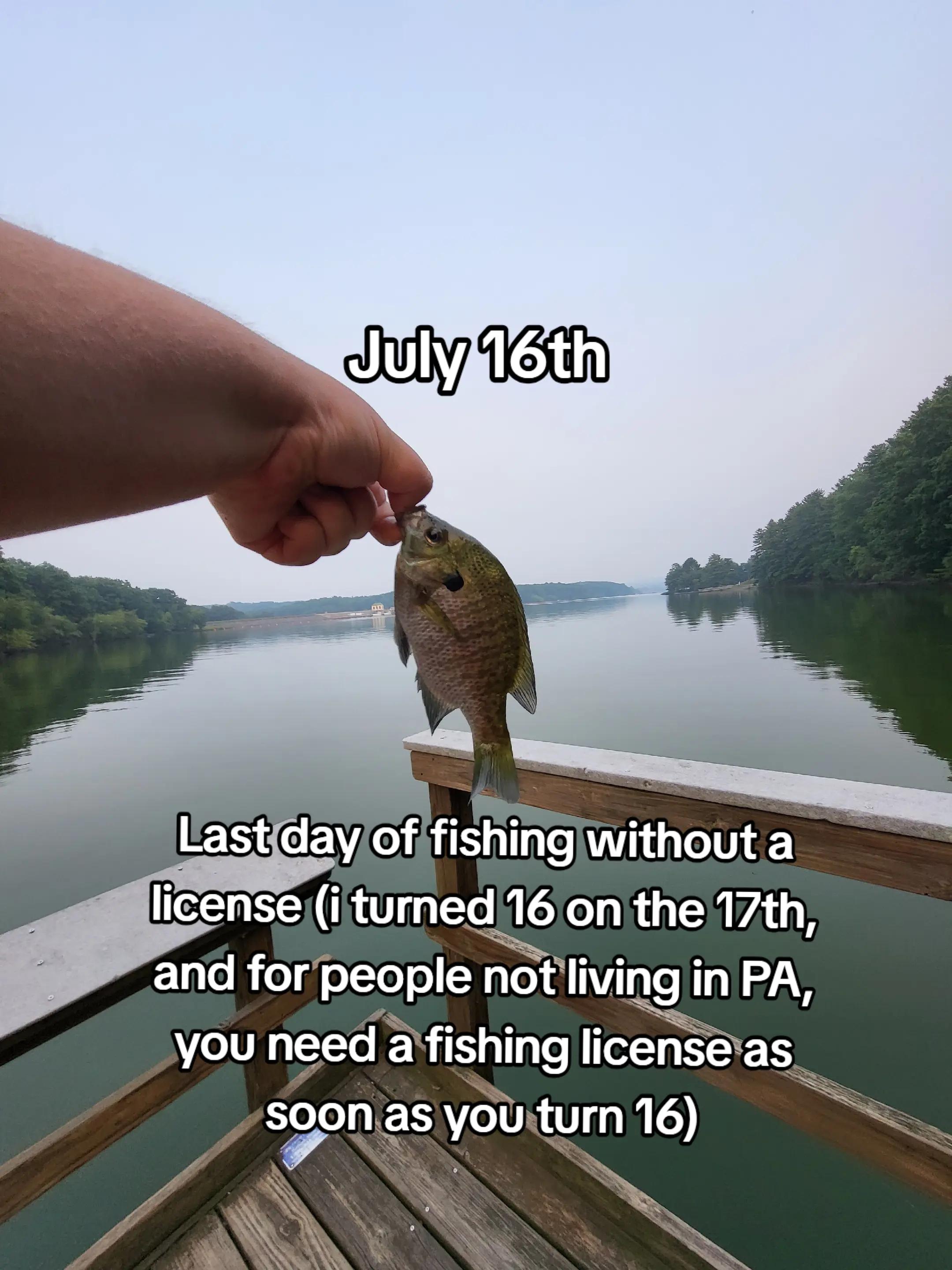 @TheReelLife