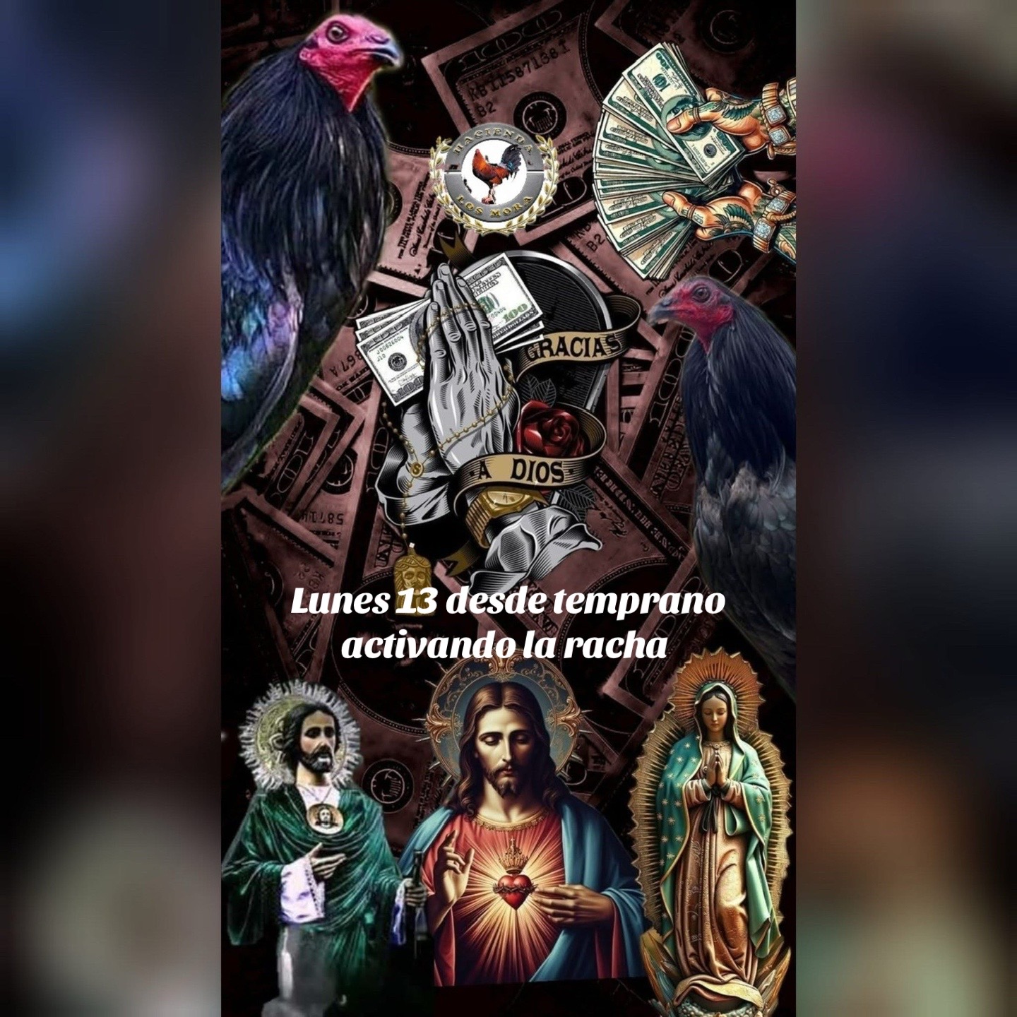 @elaldozapata7