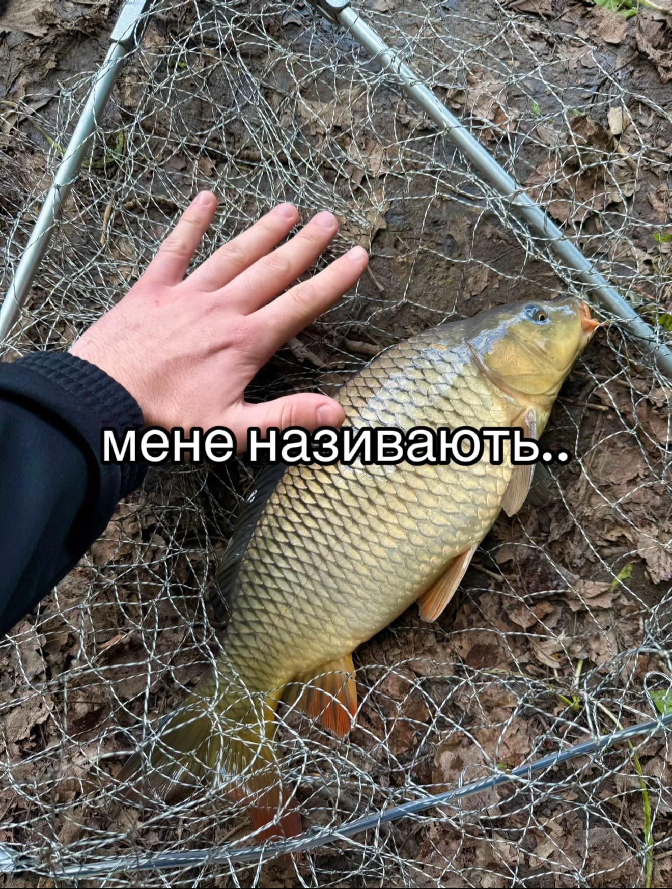 @Підписуйся! Клуб рибаків 🎣