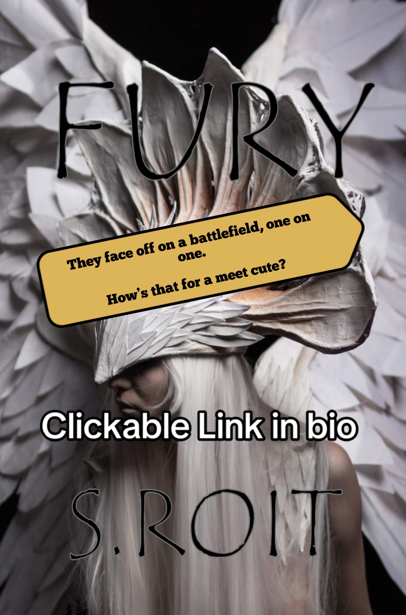 @S.Roit | Author