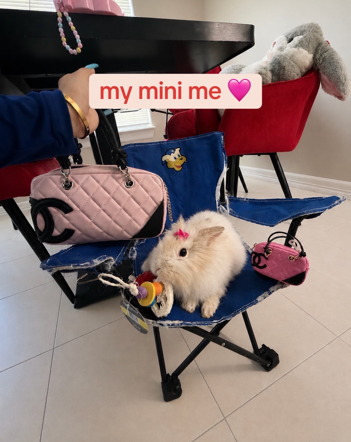 @gigi