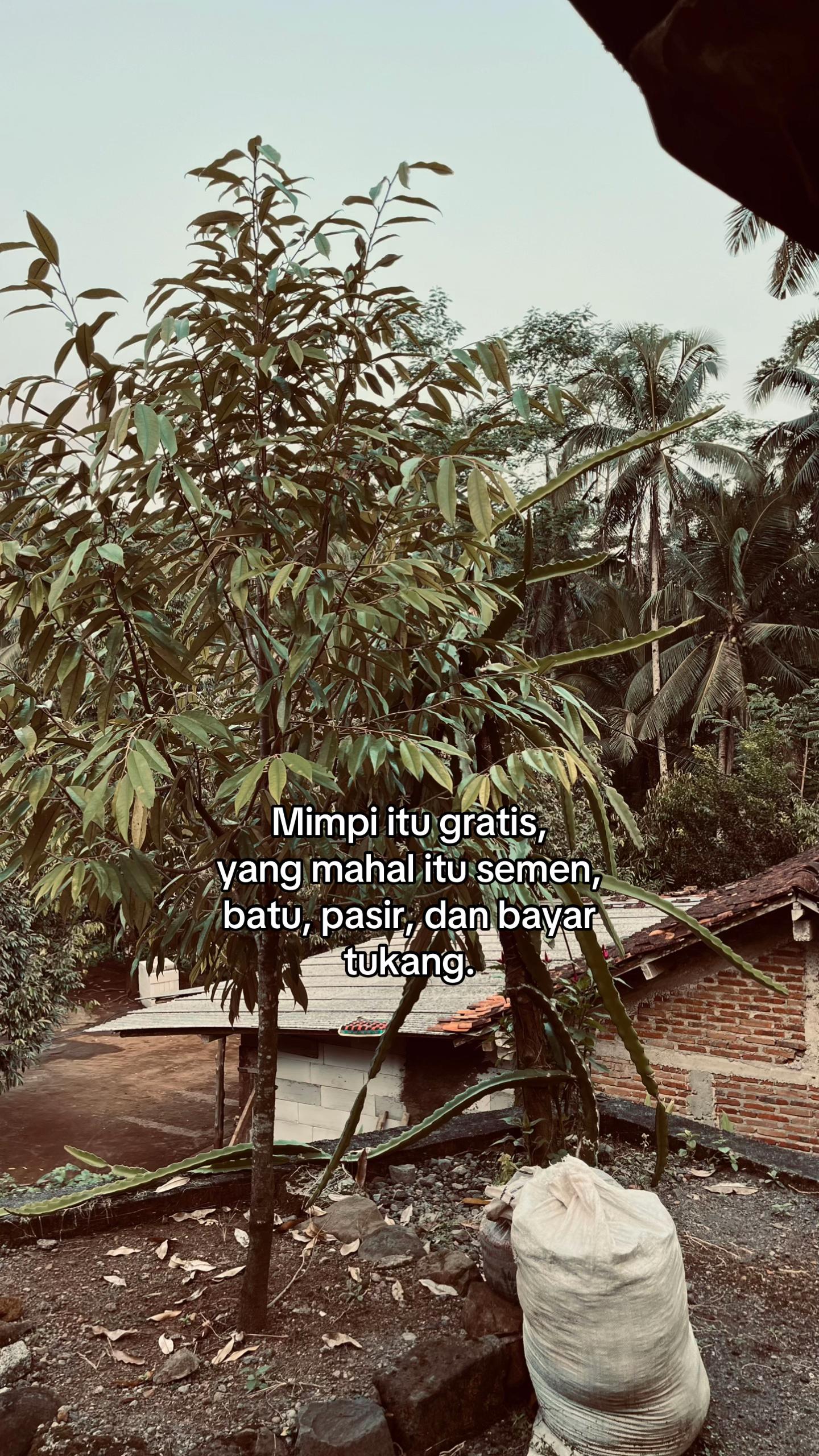 @manusia biasa