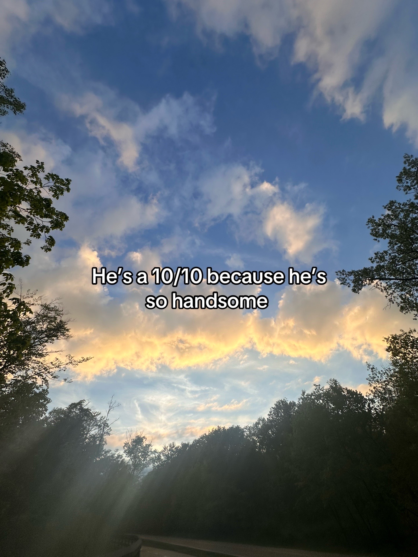 @🦕~S~🦕