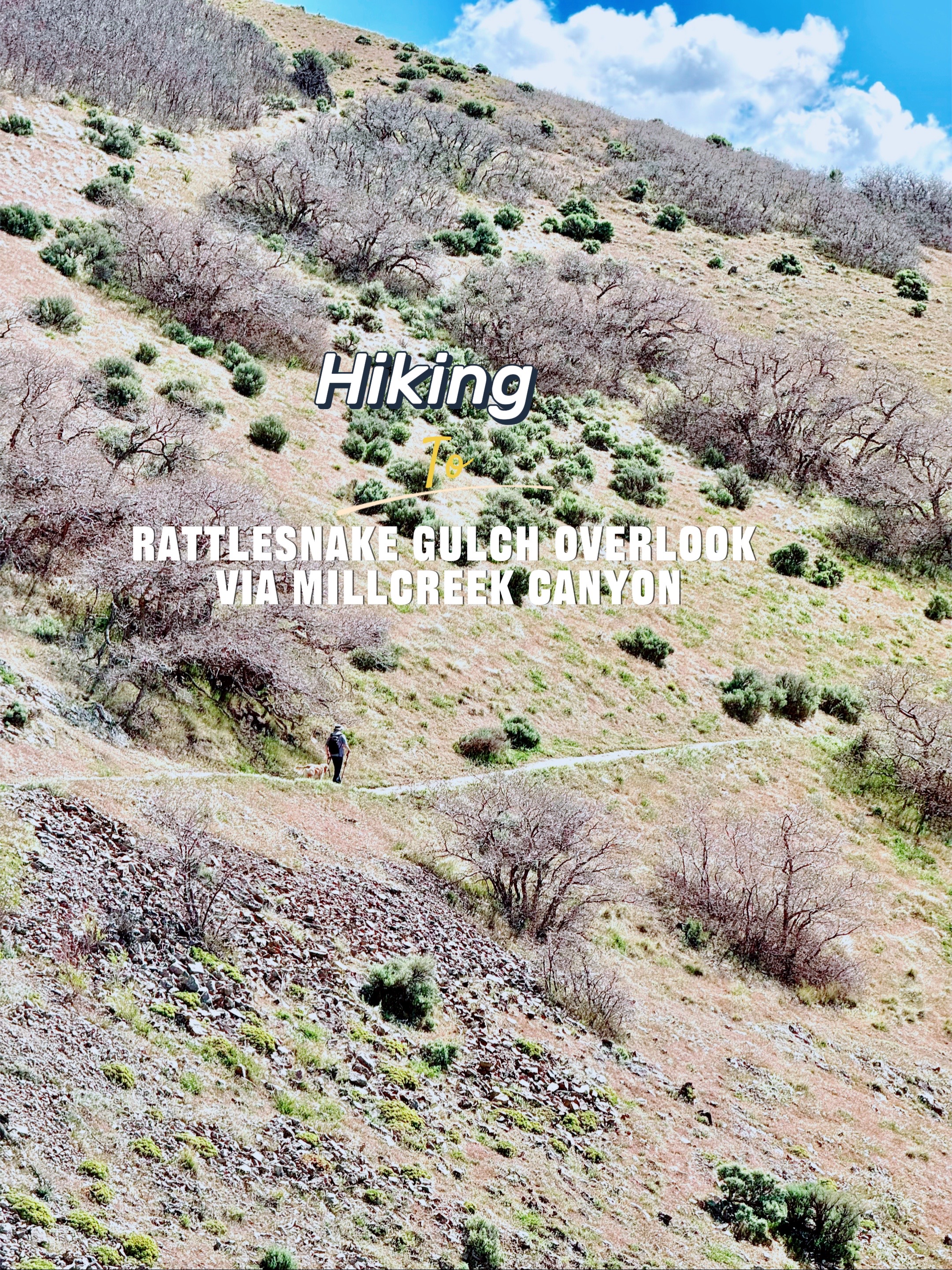 @Year Round Explorers