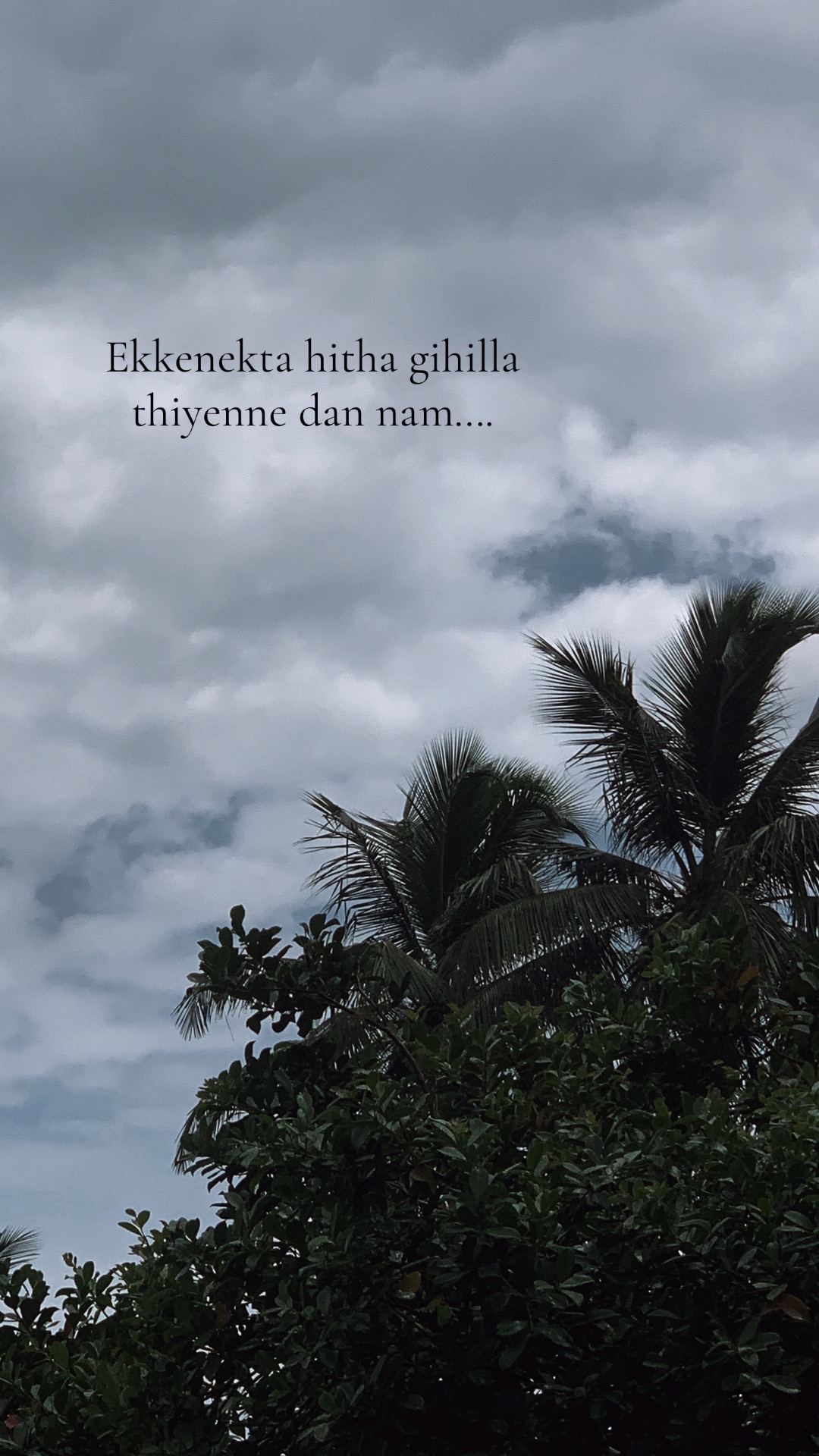 @වදන් 🗣💀