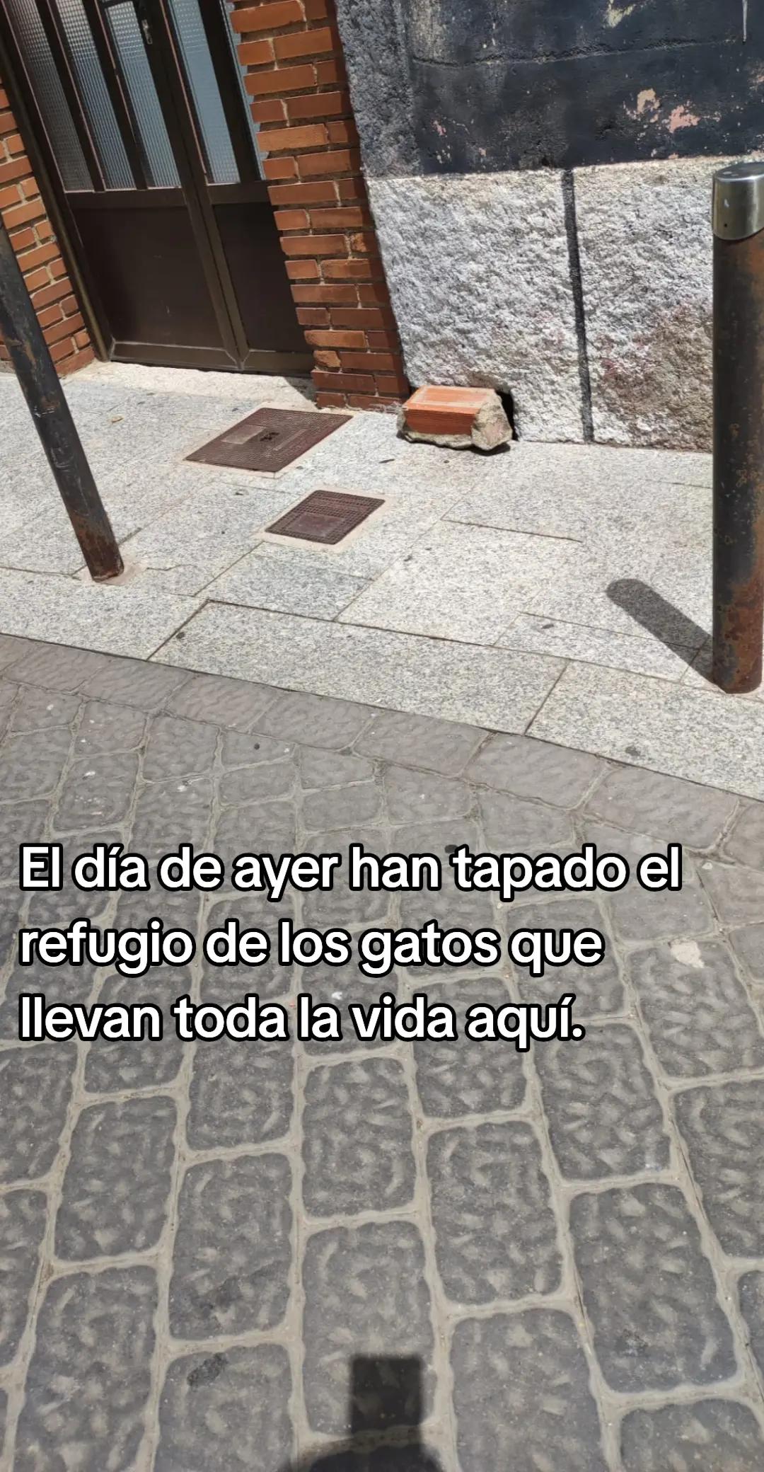 @garritasespaciales