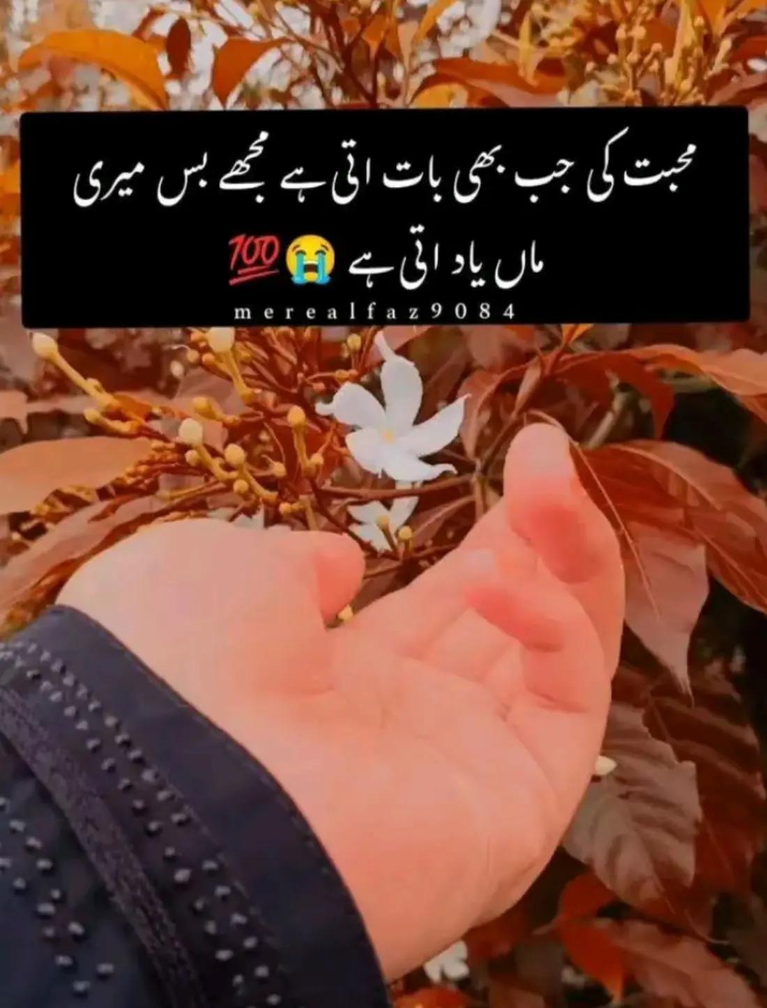 @🌸💫❤️