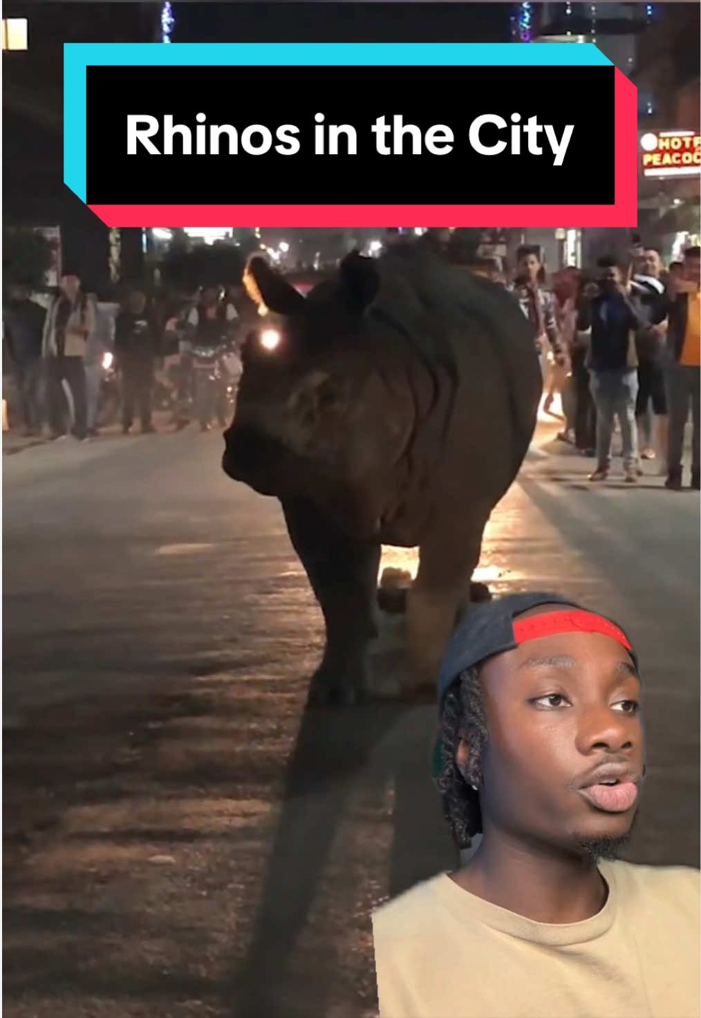 @mndiaye_97