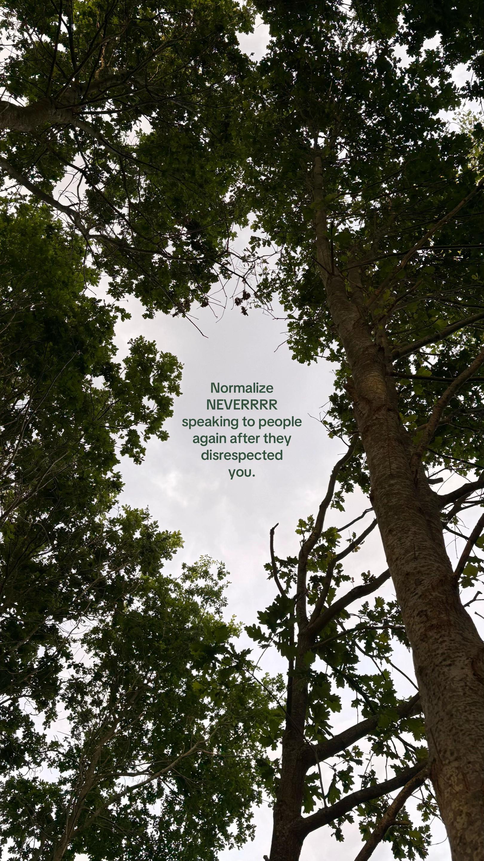 @Mr.Vain