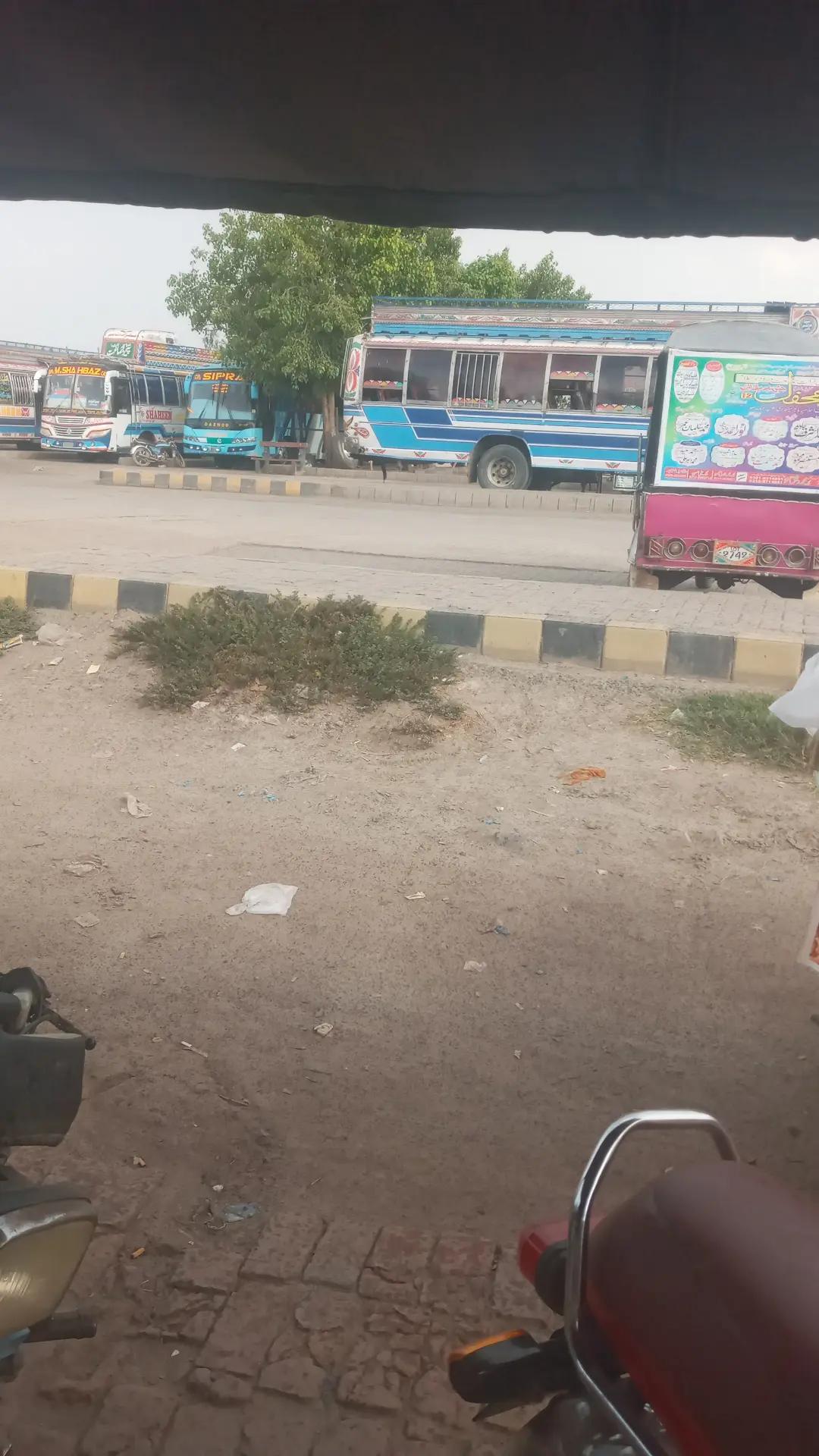 @بلی والا 12