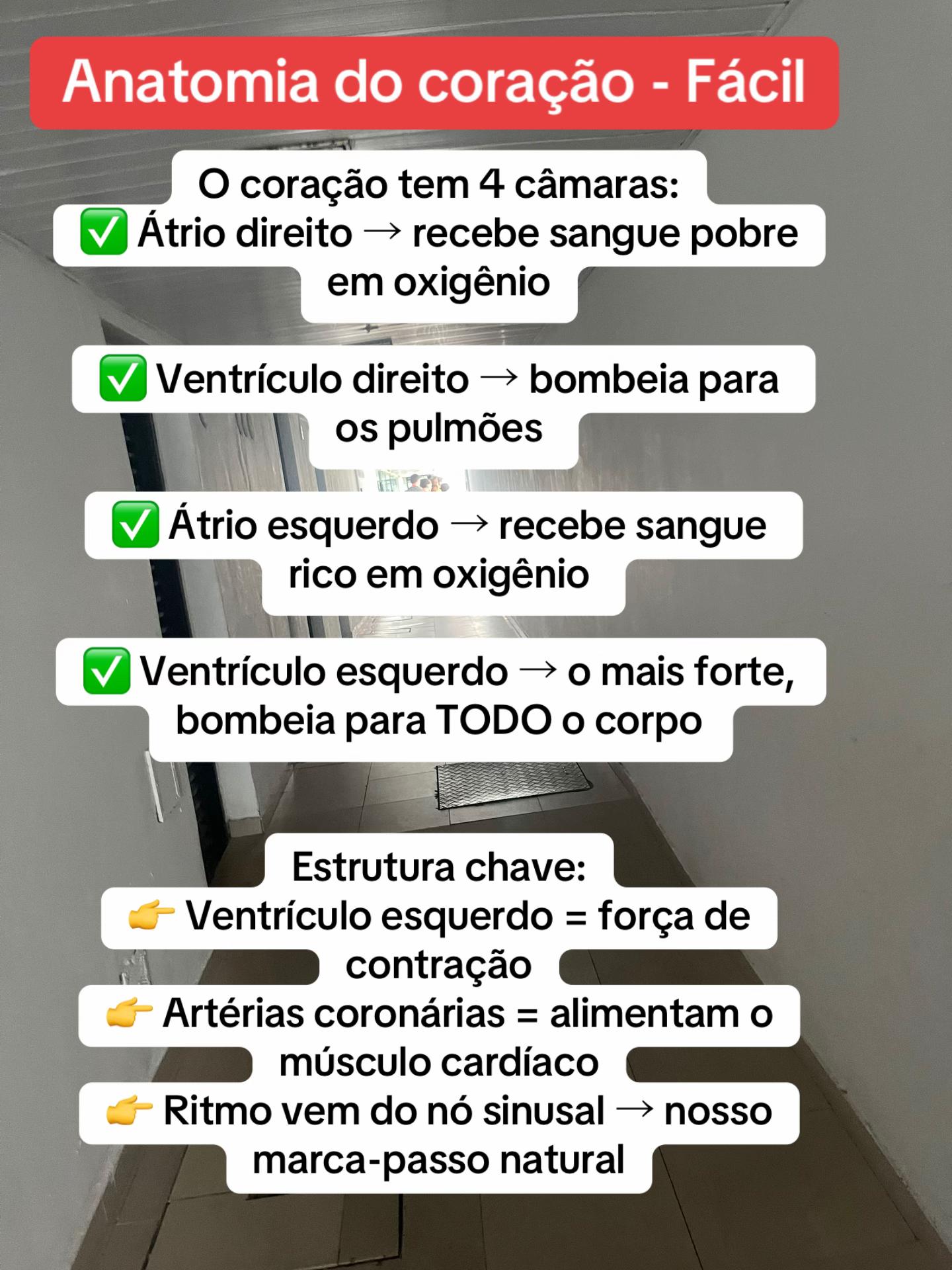 @Dayane Godoy