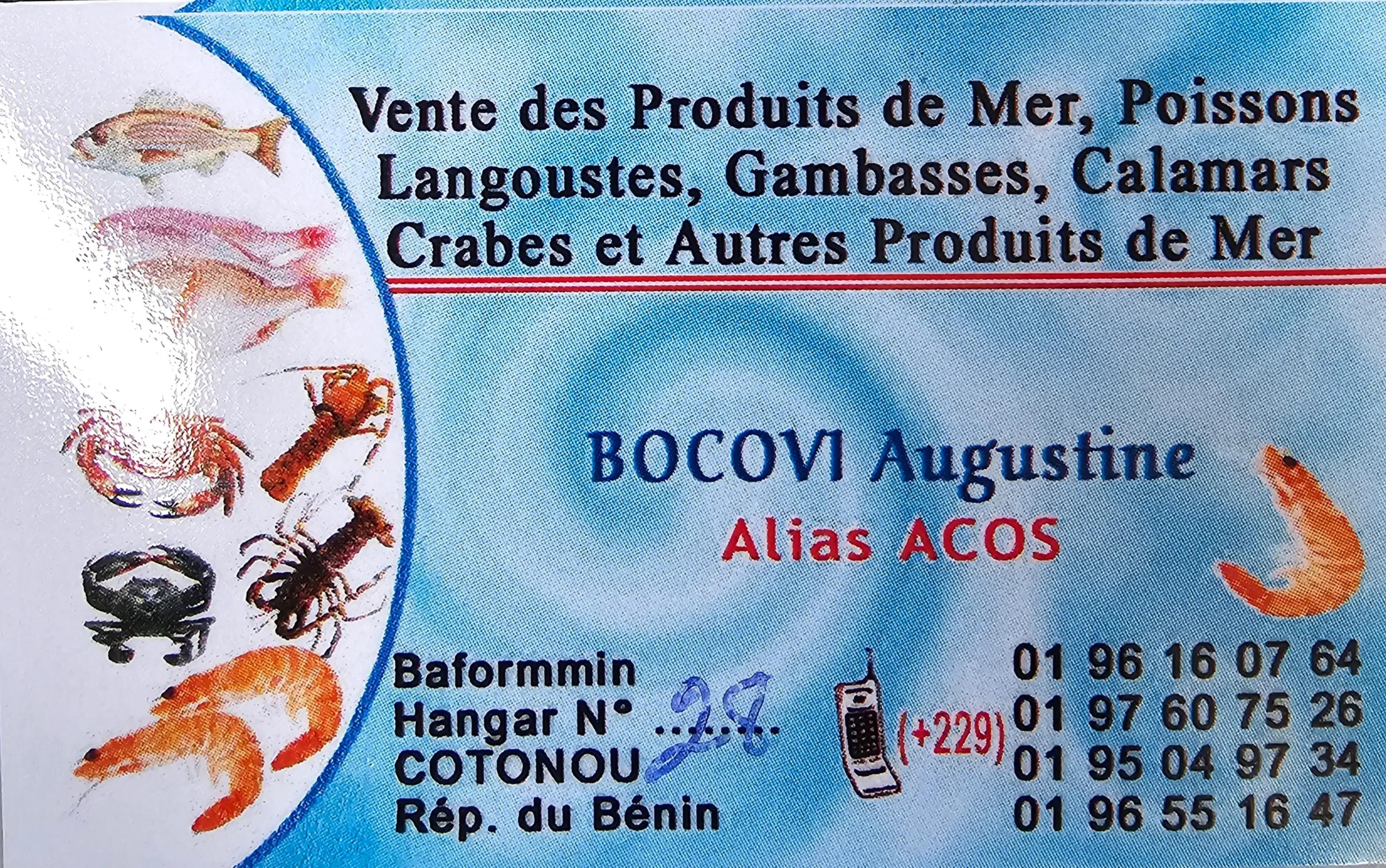 @Chasse Sous-Marine Bénin