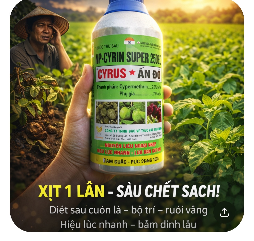 @LUONG THI MAI MAI