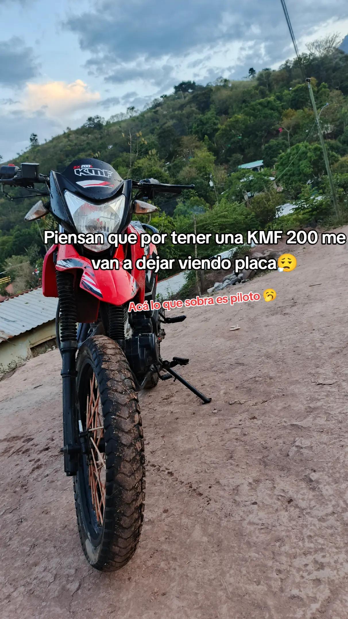 @Ivis 1602🥺
