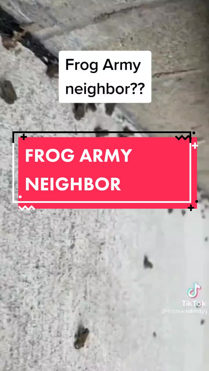 @froggiebiologist