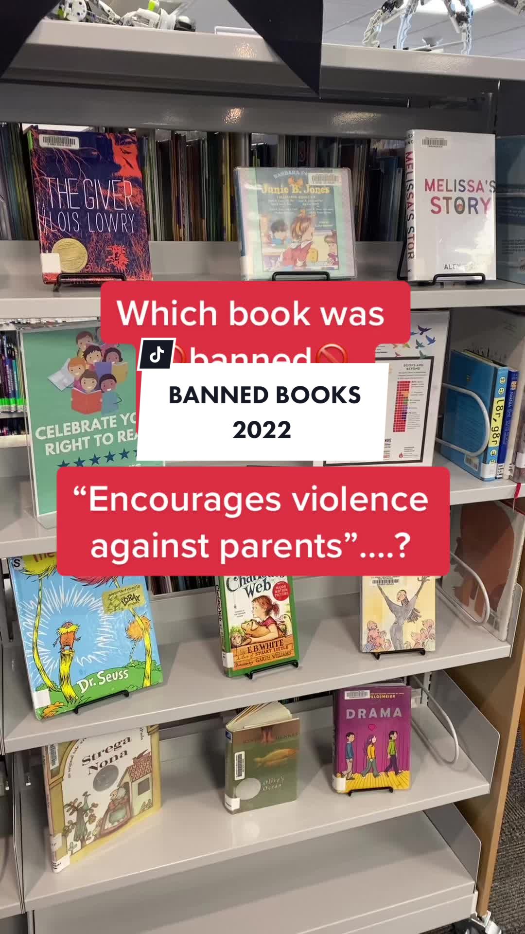 @Rice Lake Library