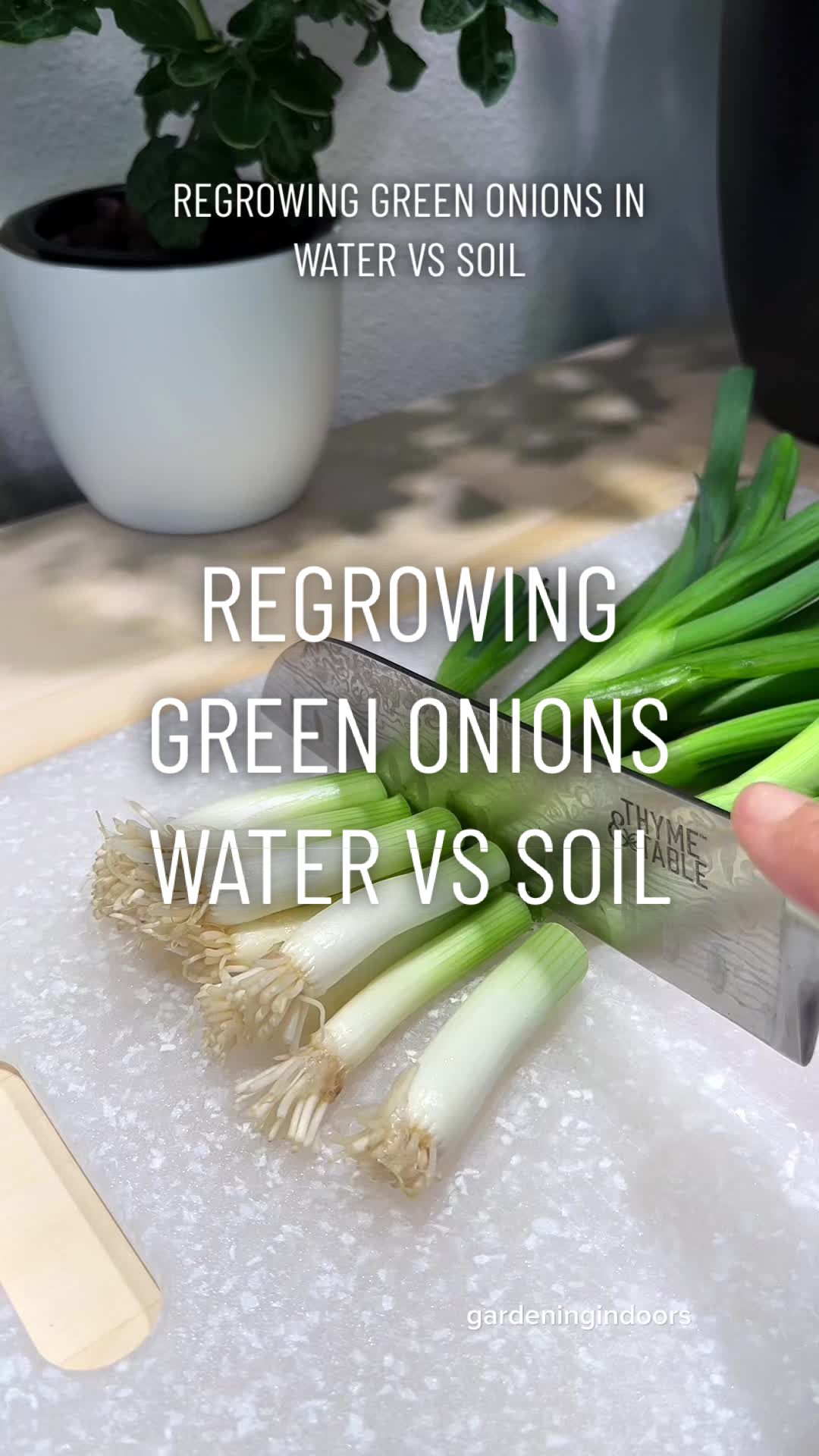 @gardeningindoors