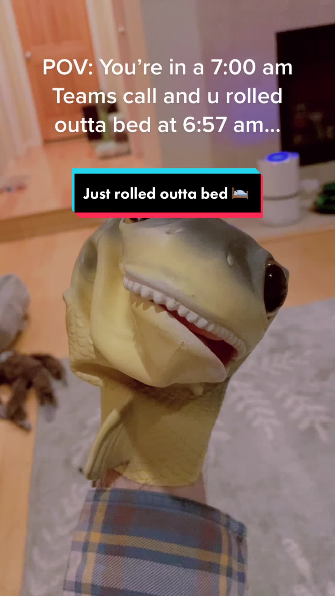 @RealisticFishHead