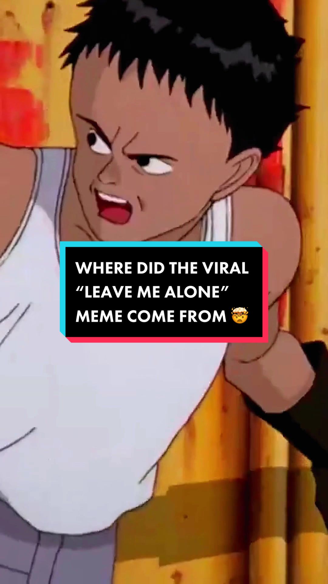 @Otaku Haven
