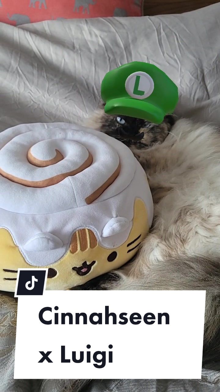 @CatWith