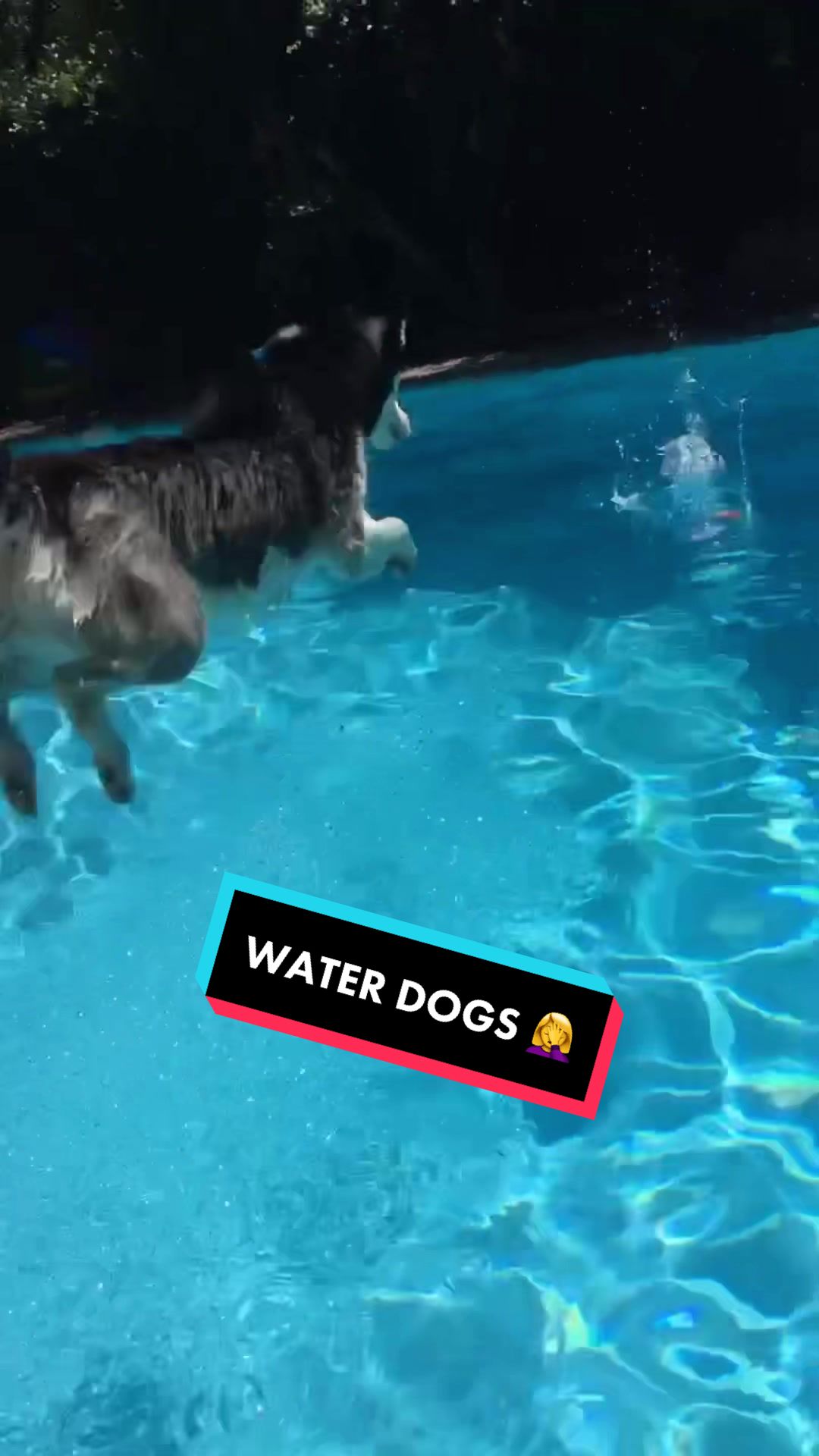 @awats29