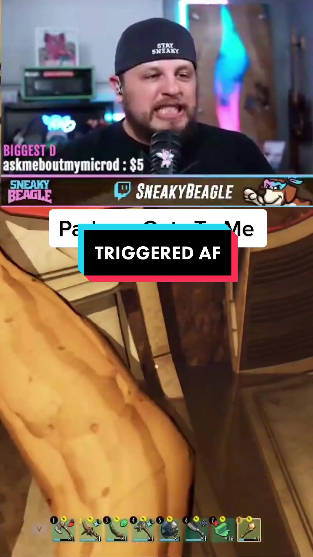 @Sneaky Beagle