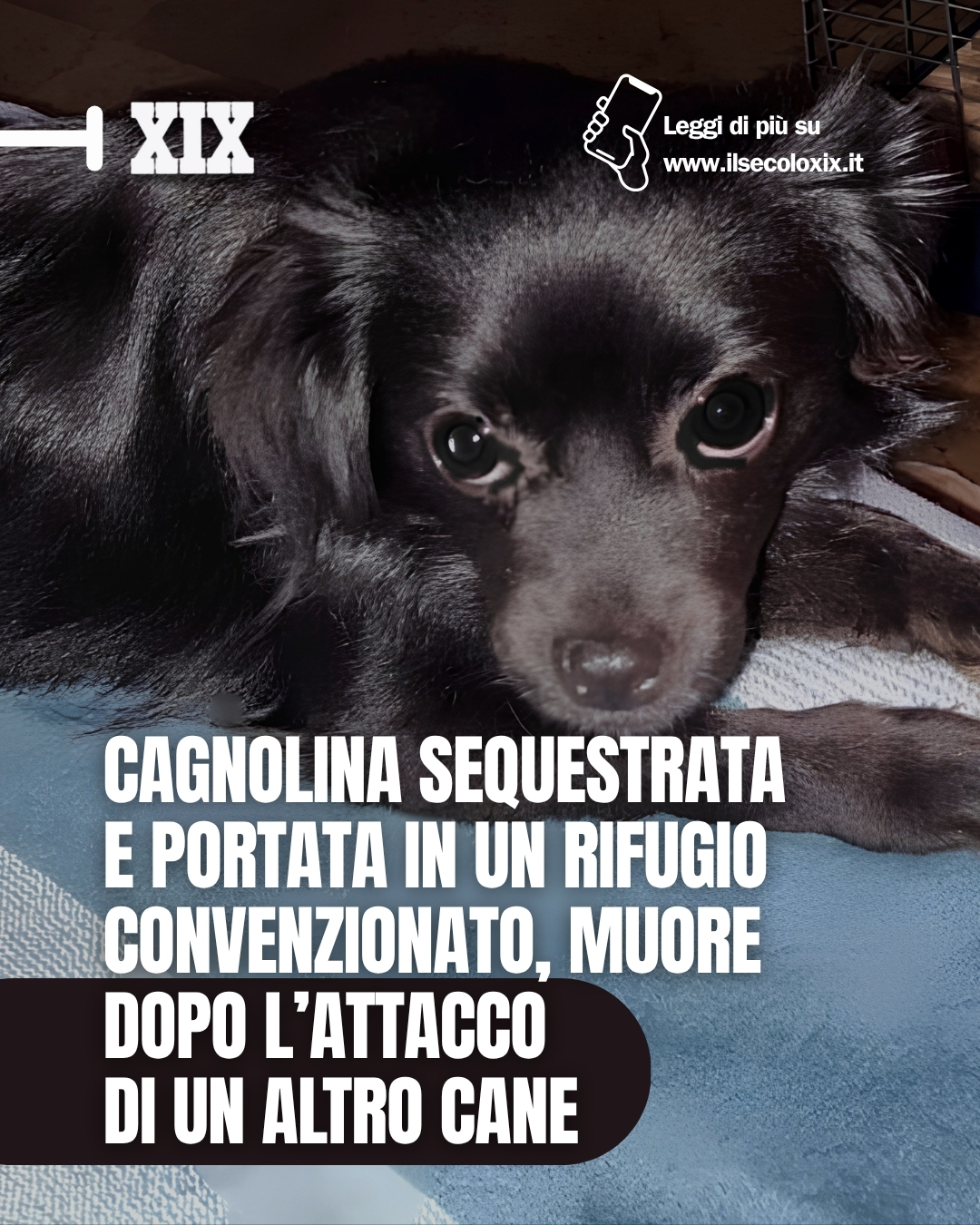 @Il Secolo XIX