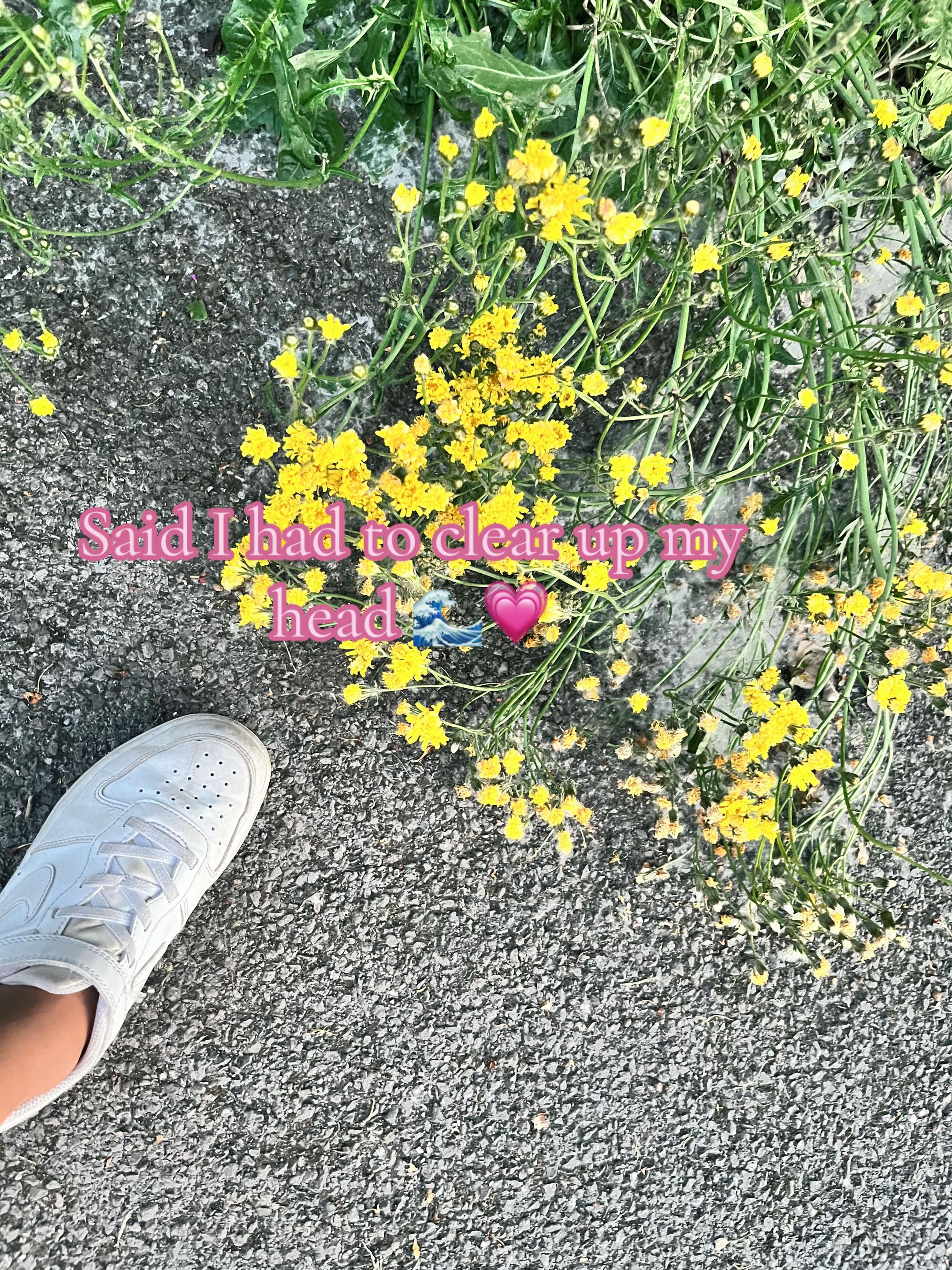 @𝐓𝐚𝐲!🥐🛍️