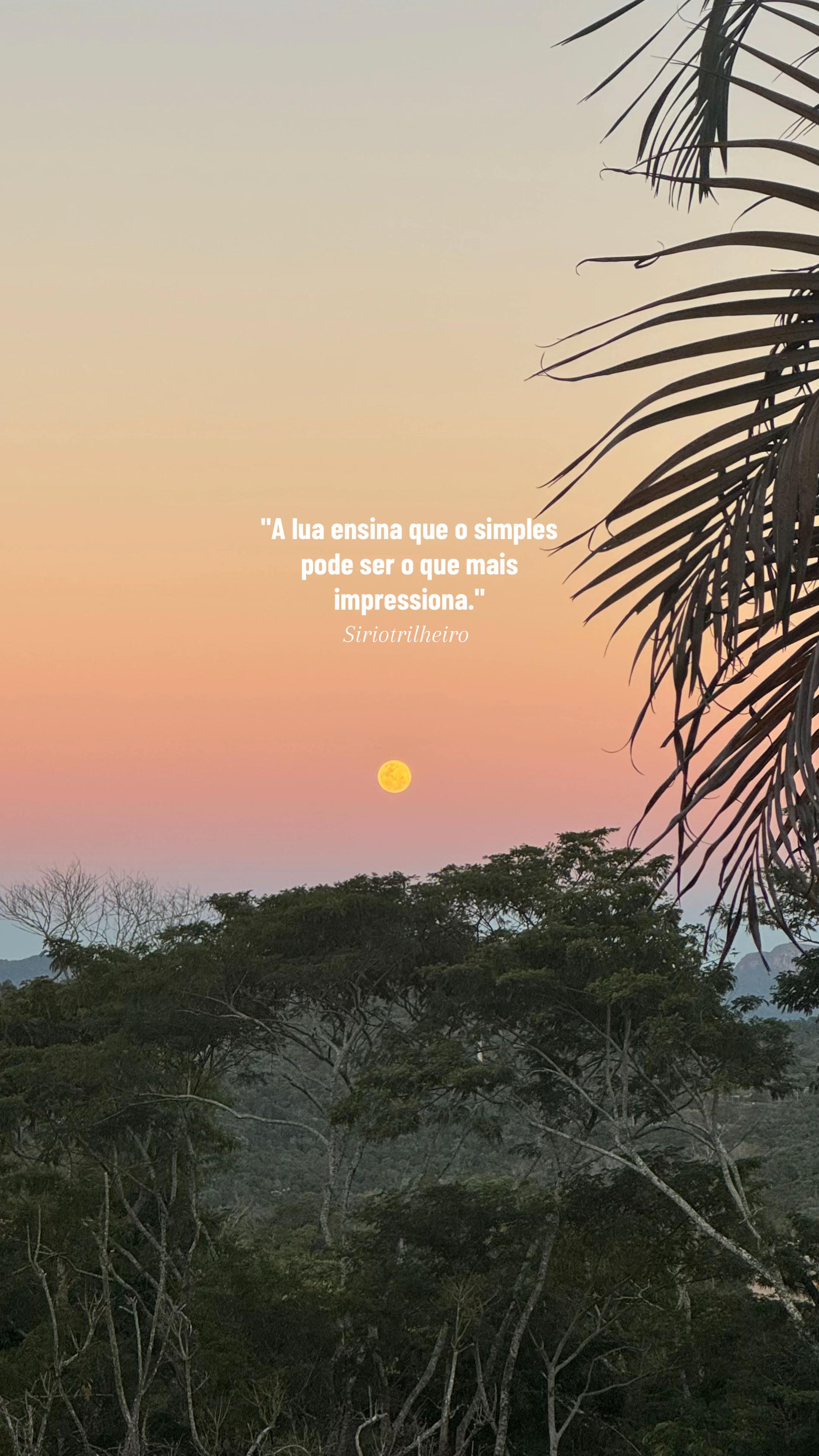@Marcony