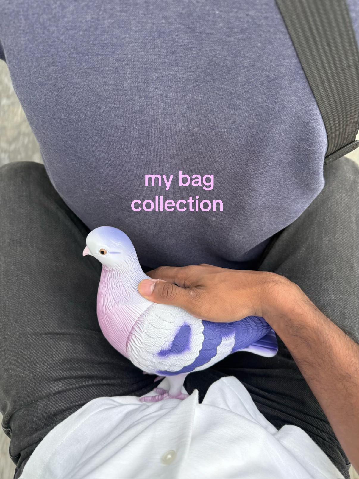 @sheearam
